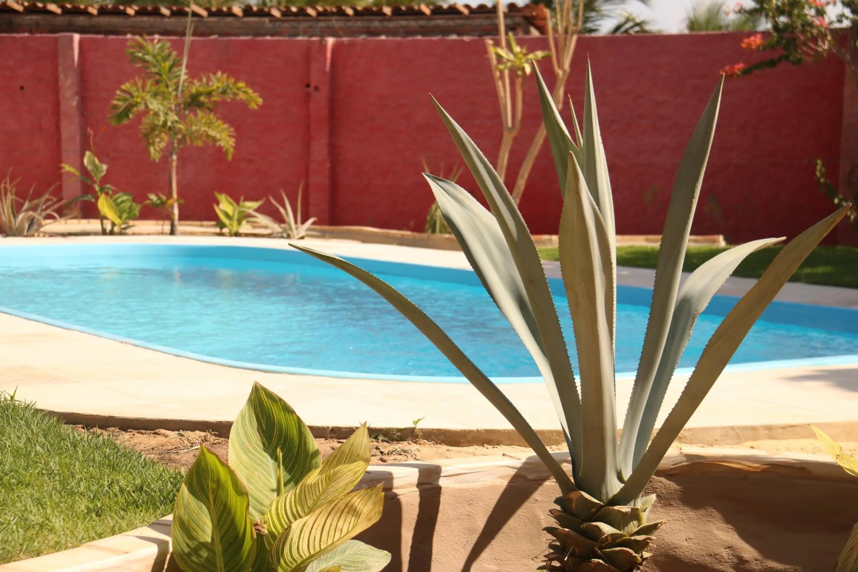 Day in Casa do Jardim- Villa Botanica