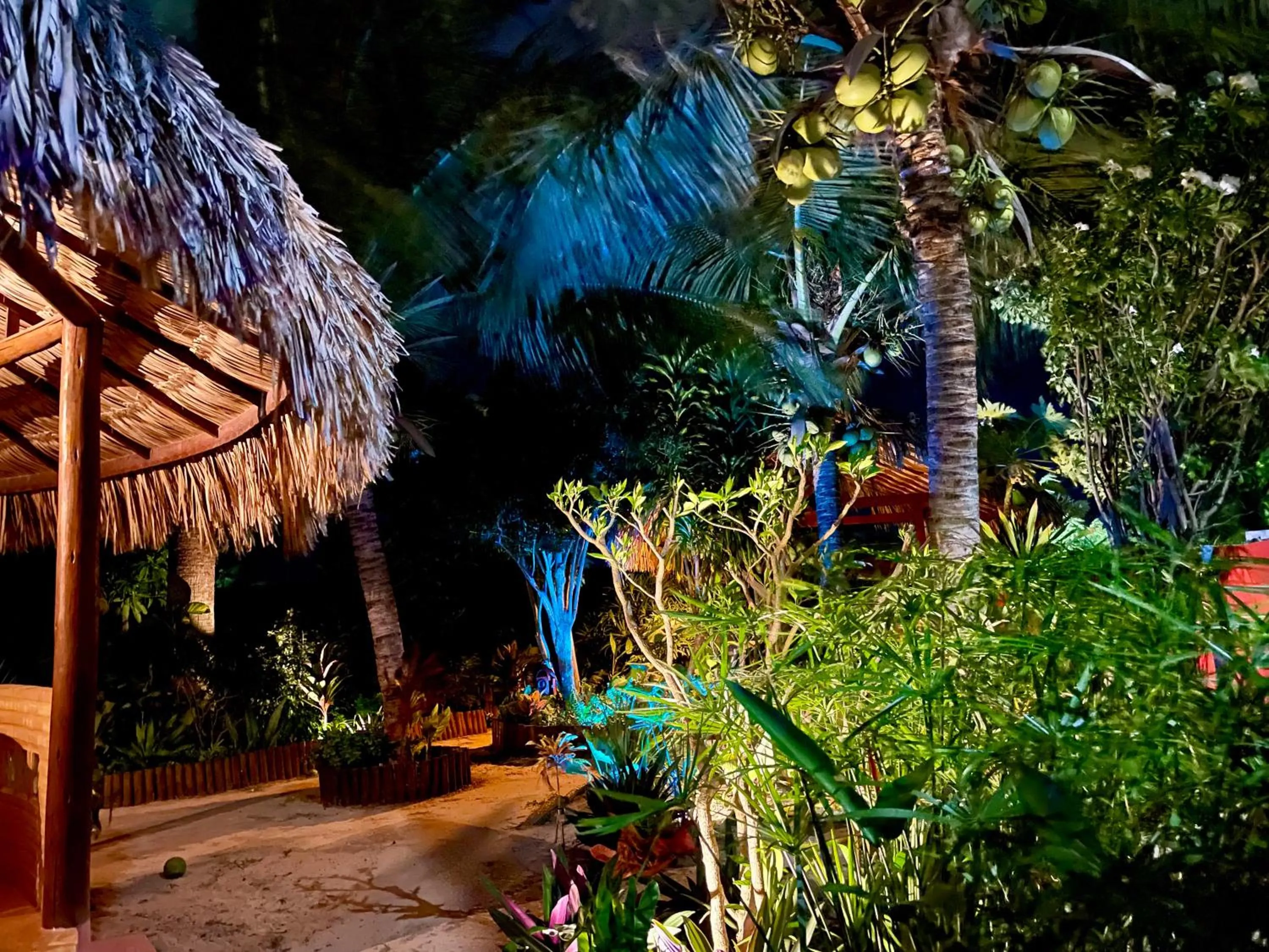 Evening entertainment in Casa do Jardim- Villa Botanica