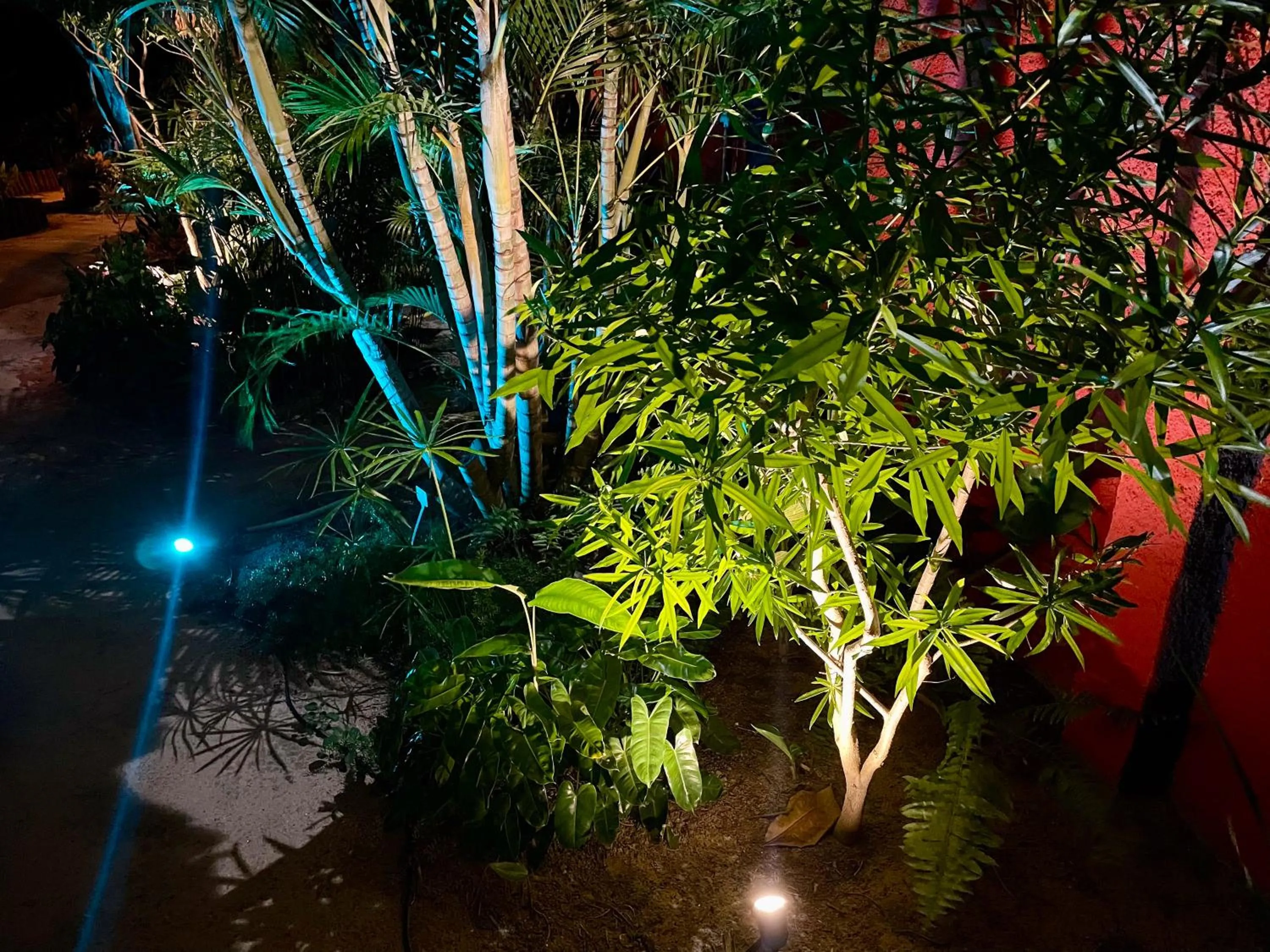 Evening entertainment in Casa do Jardim- Villa Botanica