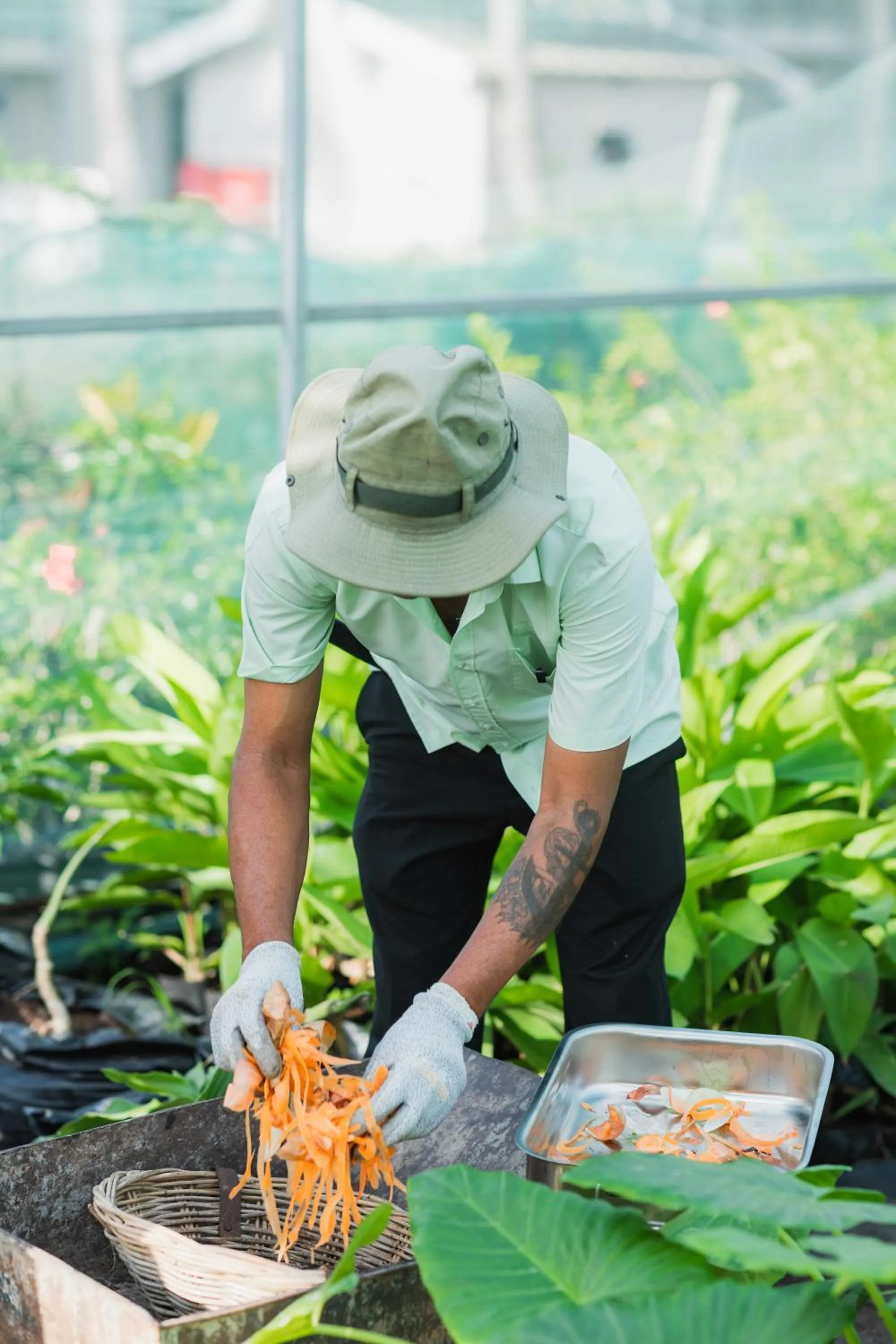 Day in Cotton Bay Resort & Spa