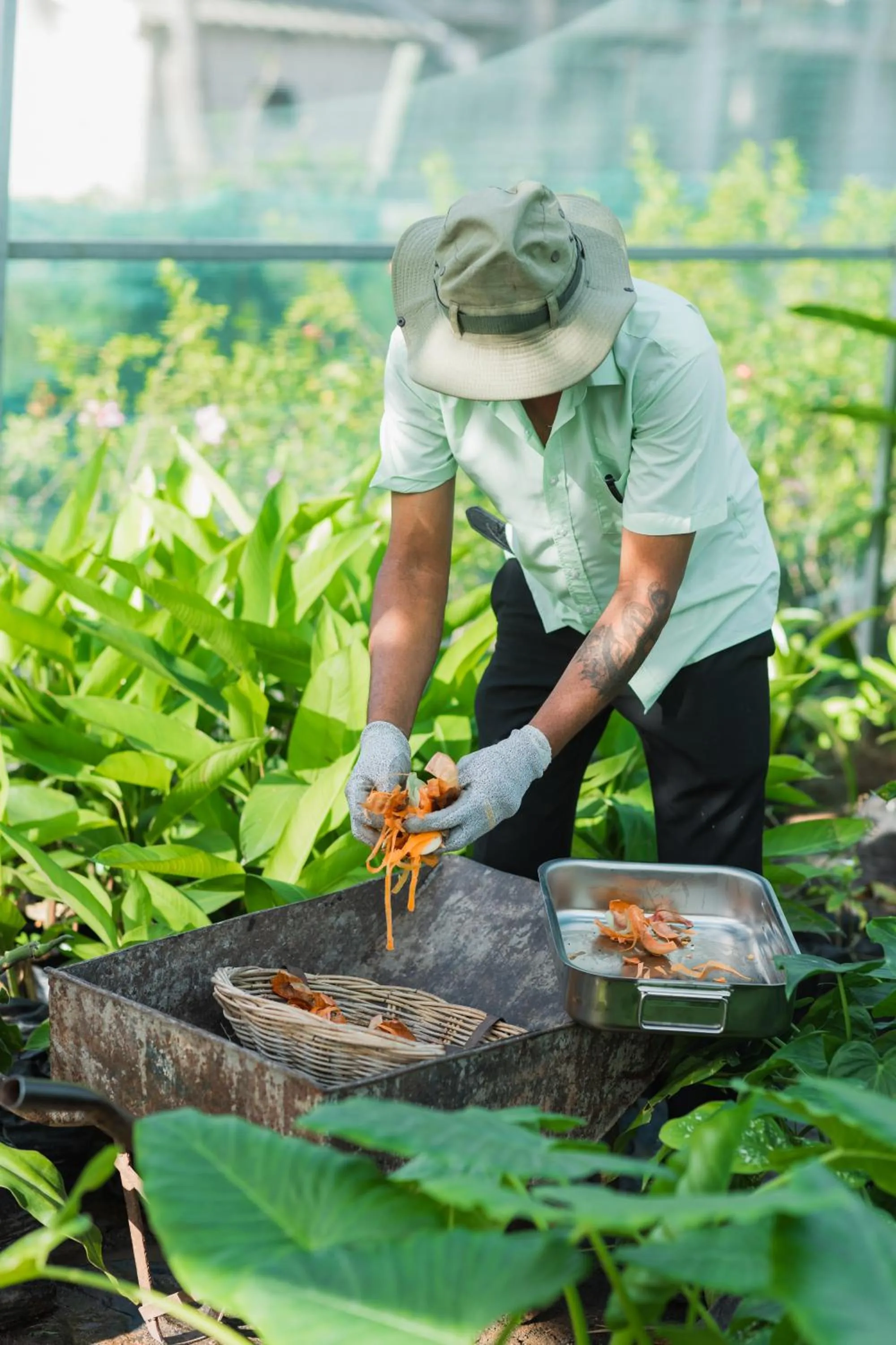 Day in Cotton Bay Resort & Spa