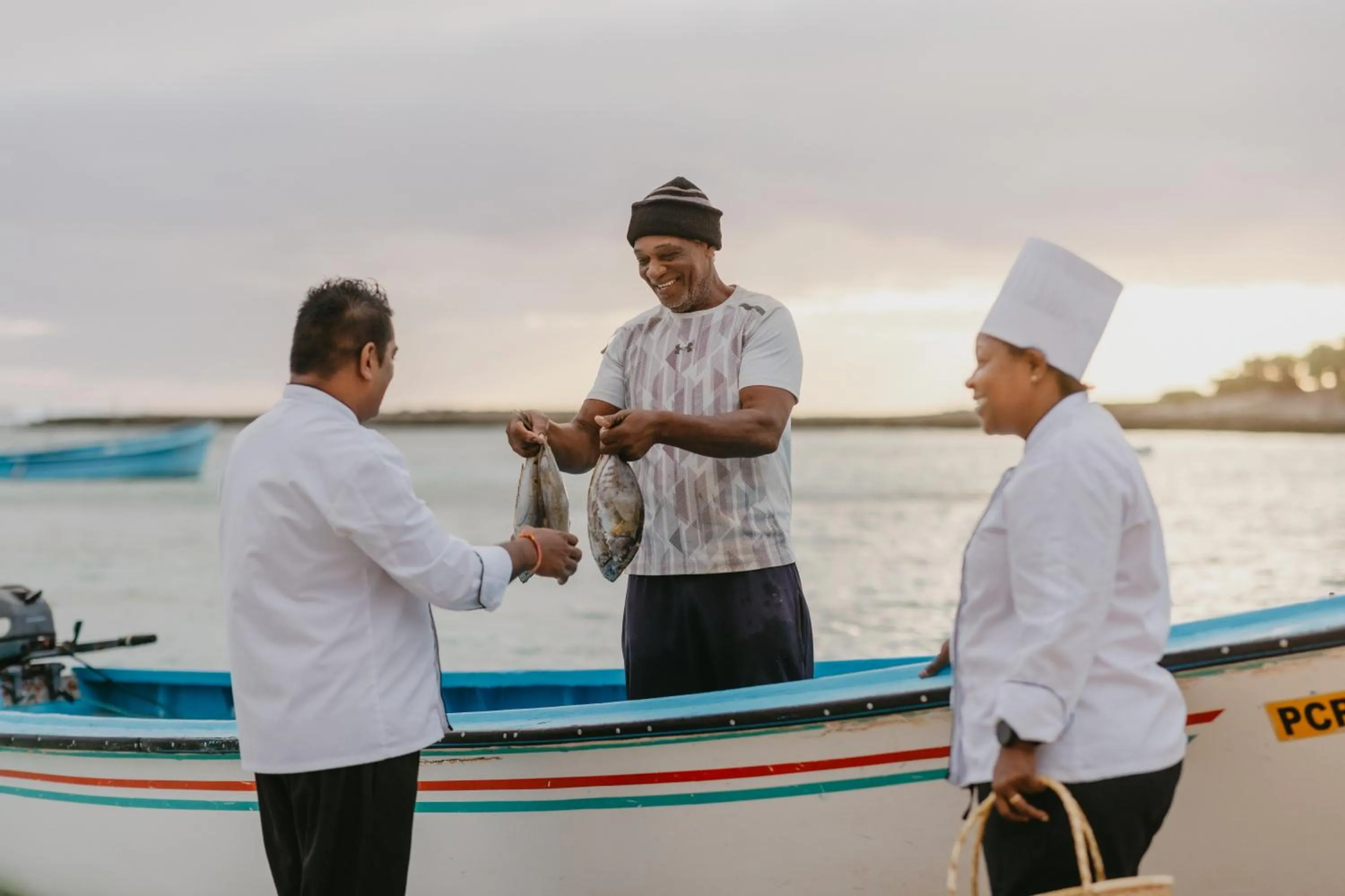 Day in Cotton Bay Resort & Spa