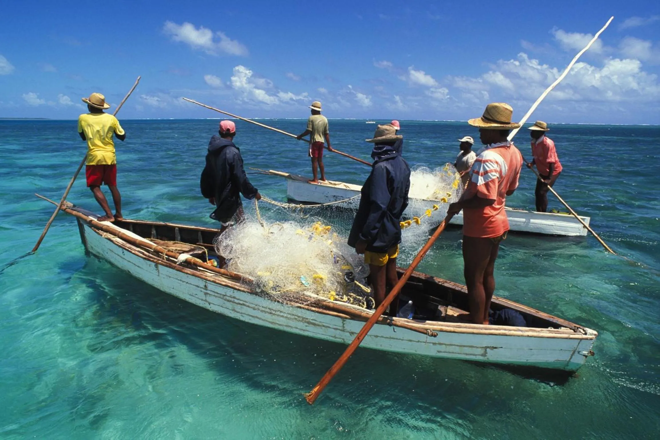 Natural landscape in Cotton Bay Resort & Spa