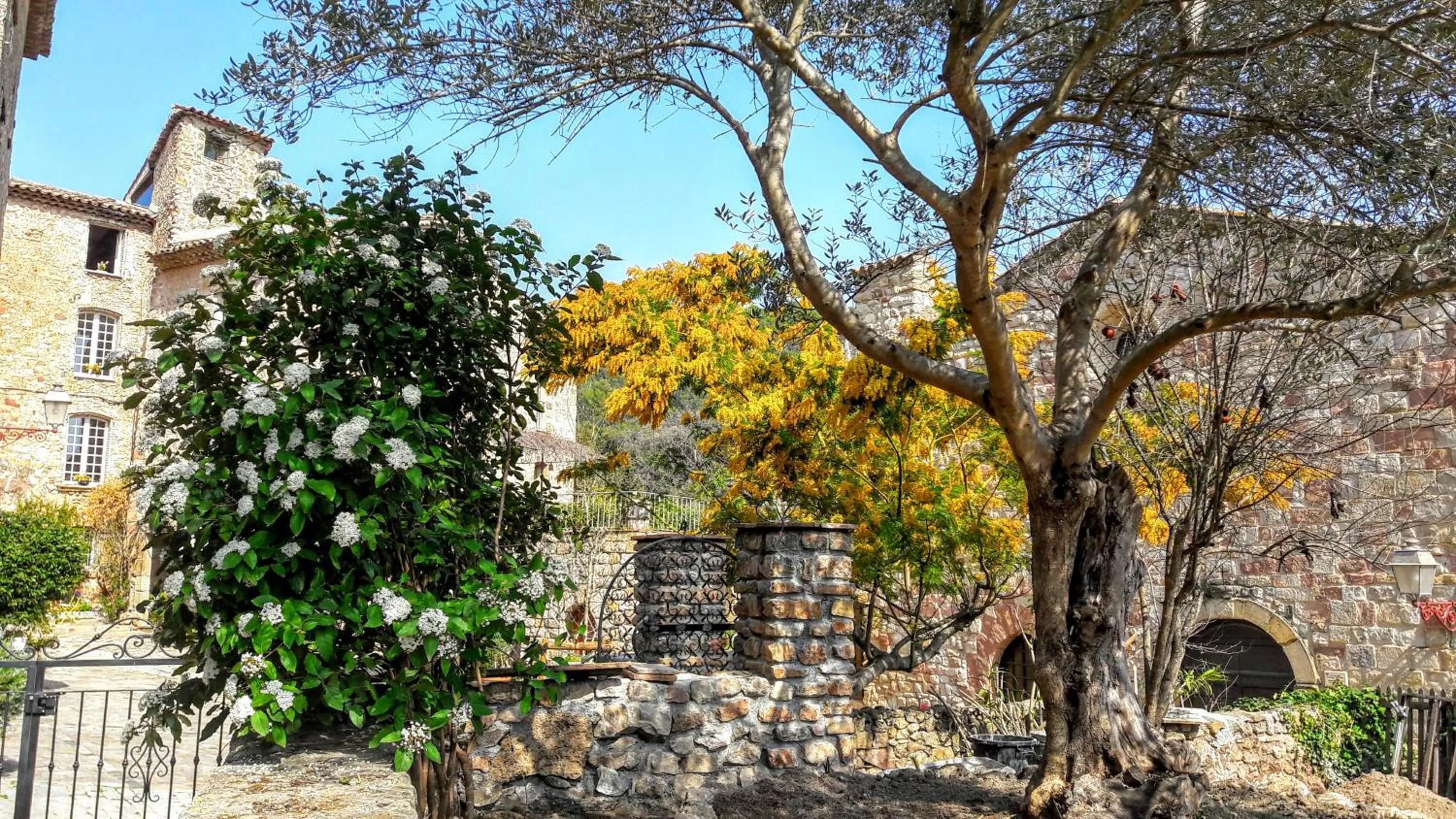 Garden in Villa Arca