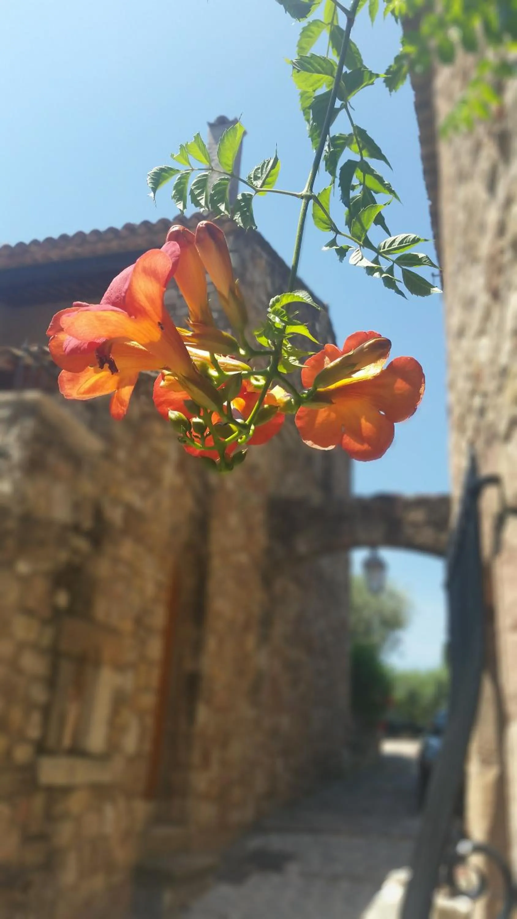 Property logo or sign in Villa Arca