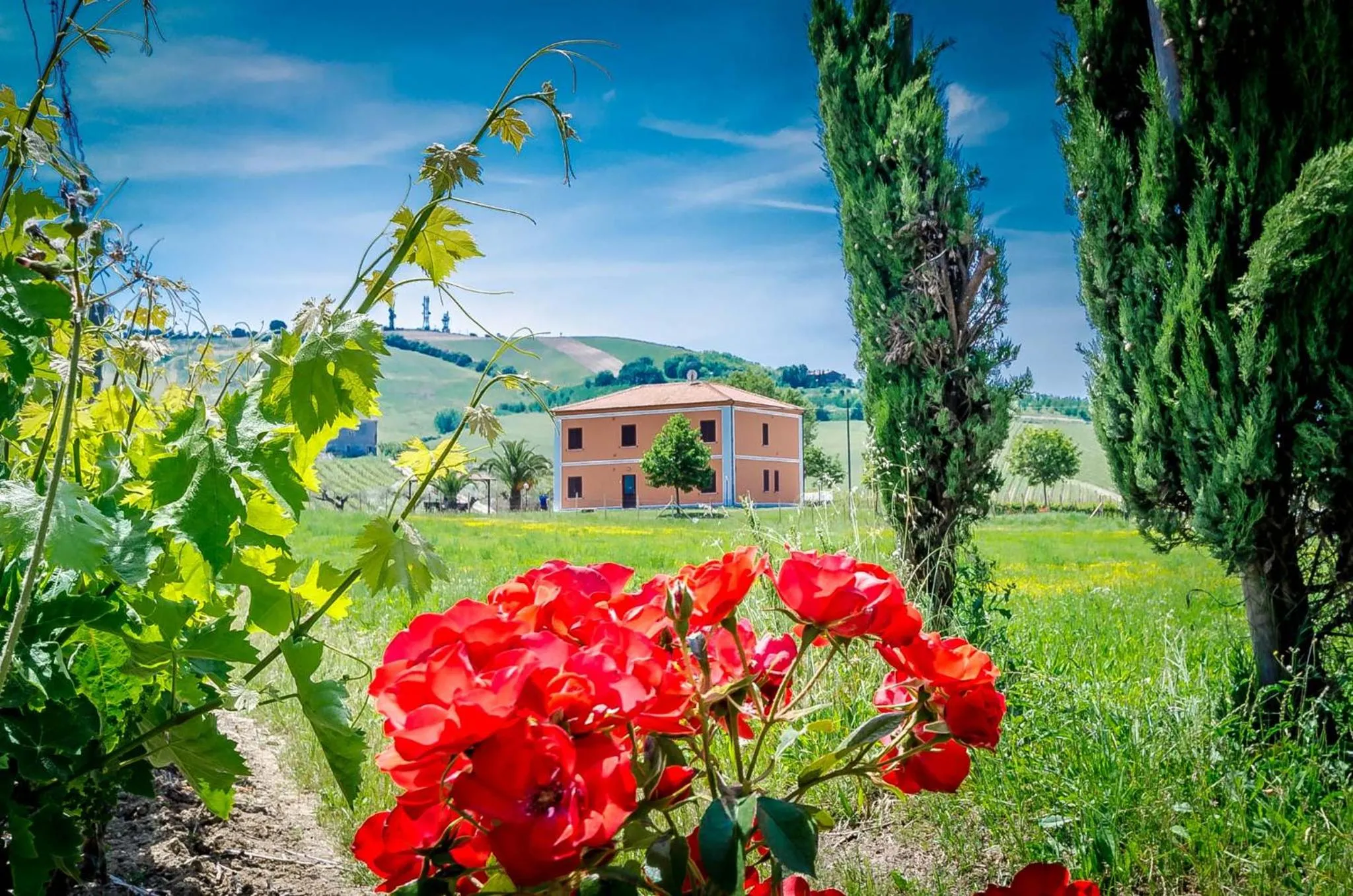 Agriturismo Agrimare Barba