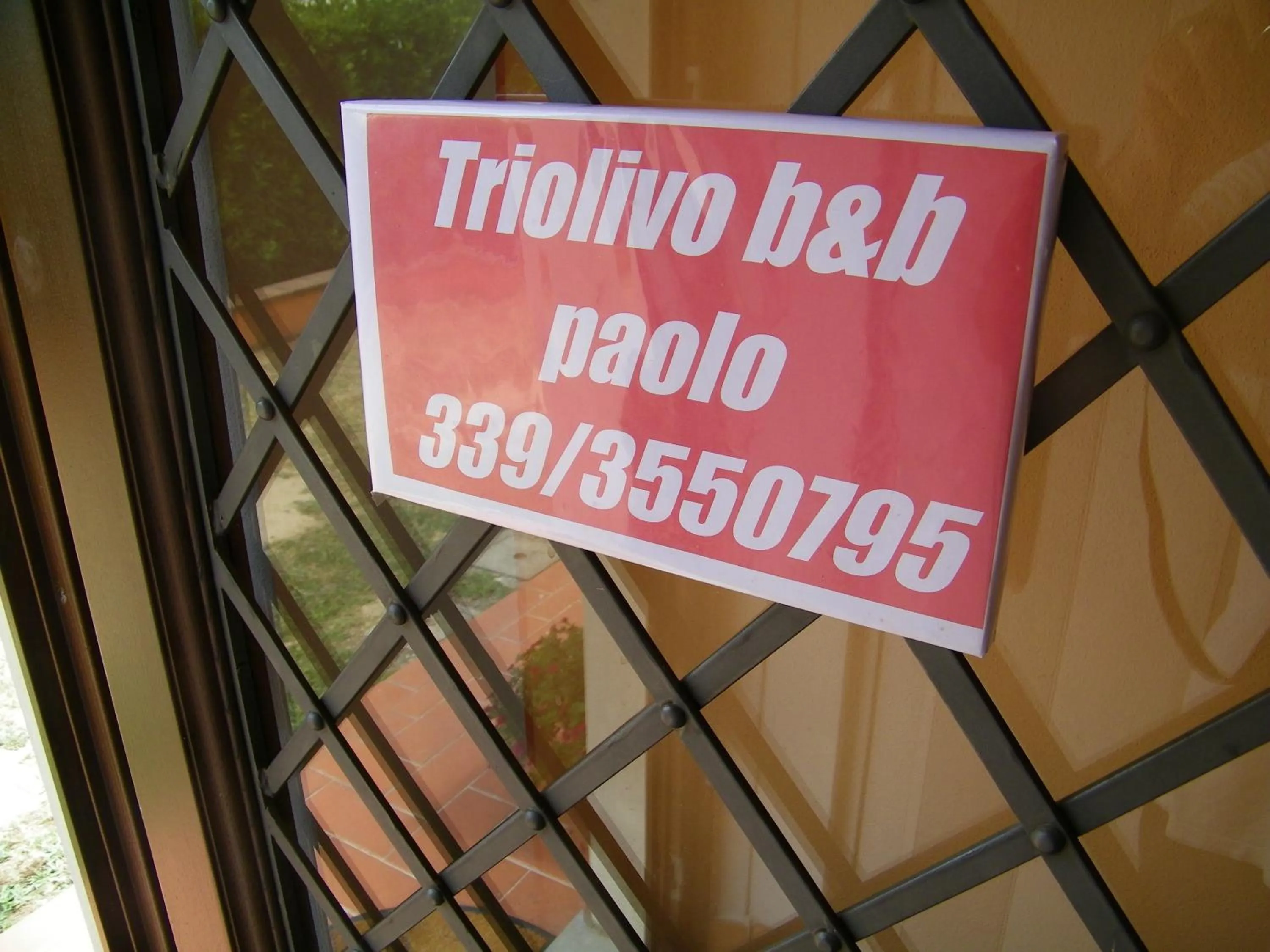 Logo/Certificate/Sign in Triolivo B&B