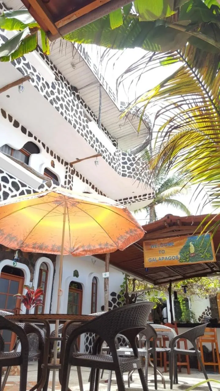 Garden view in Hotel Coloma Galapagos