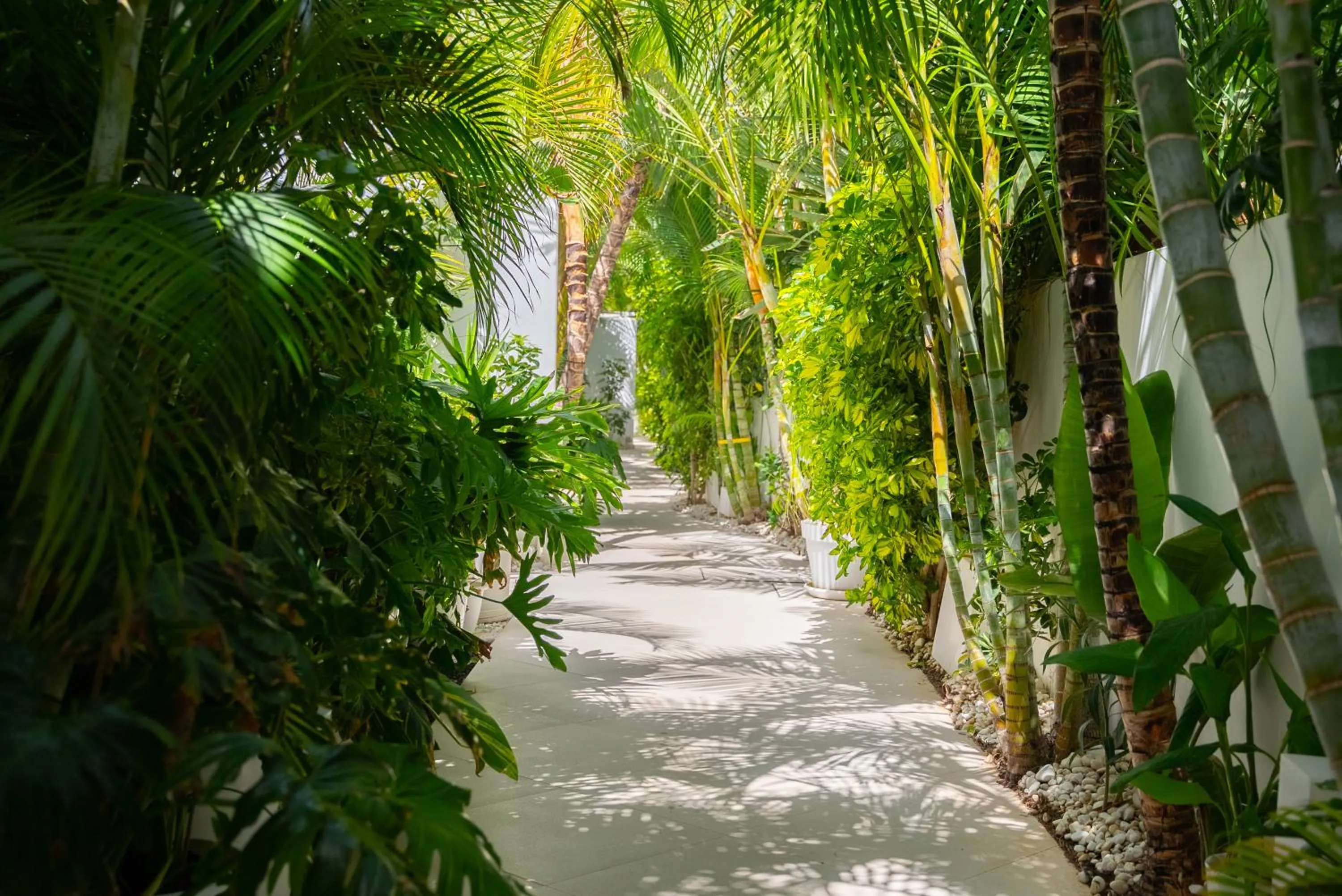 Property building in Lani's Suites de Luxe - Adults Only