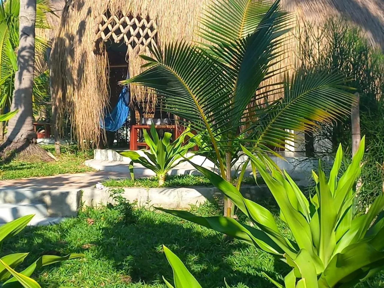Garden in Baobab Beach Vilanculos