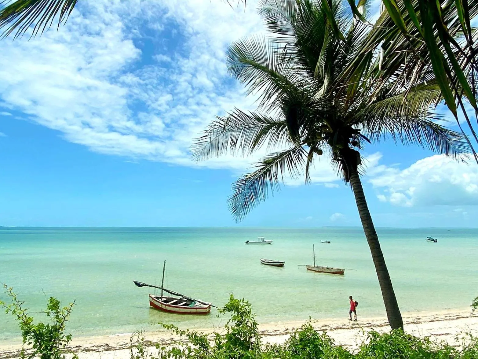 Beach in Baobab Beach Vilanculos
