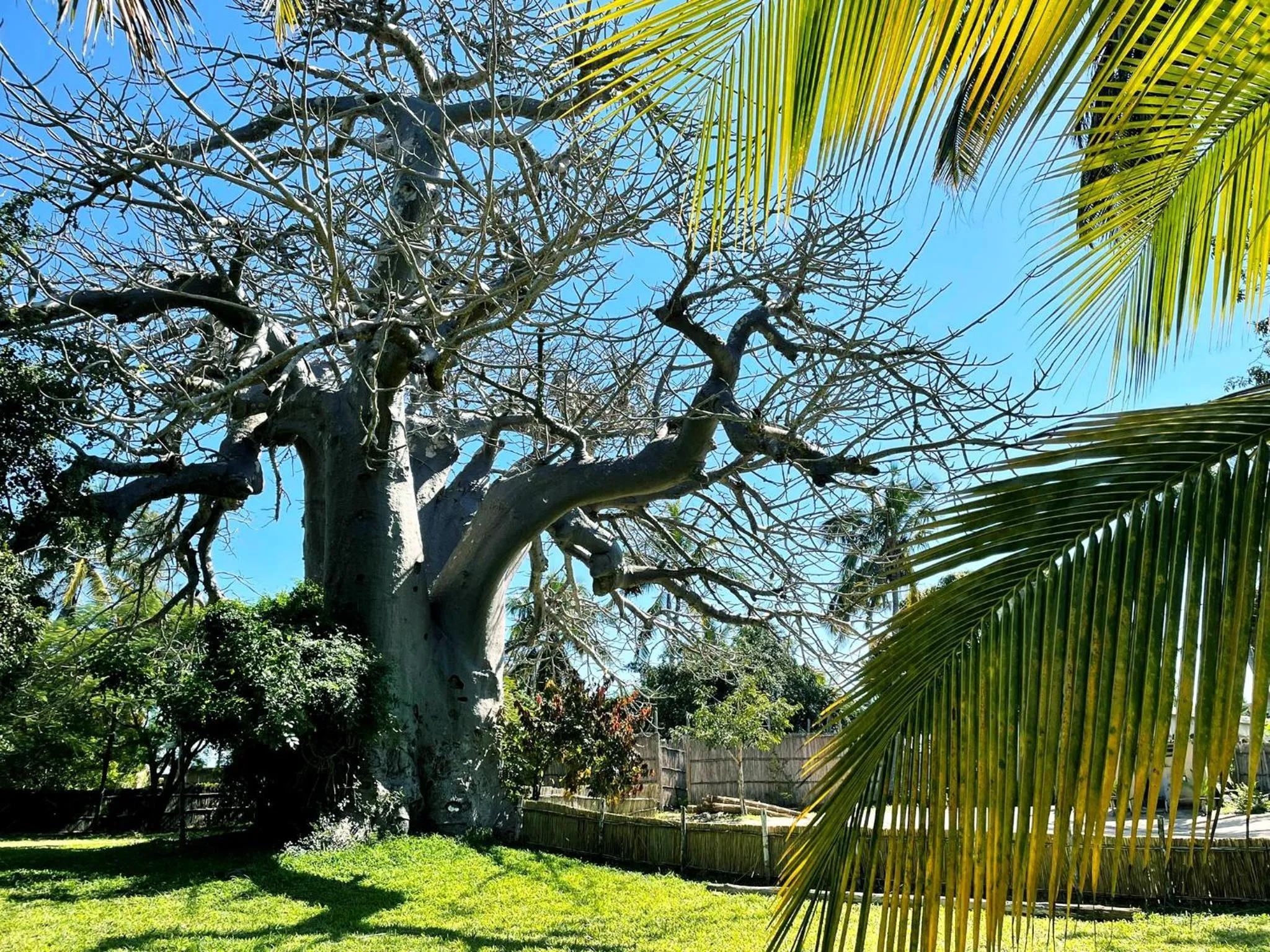 Facade/entrance in Baobab Beach Vilanculos