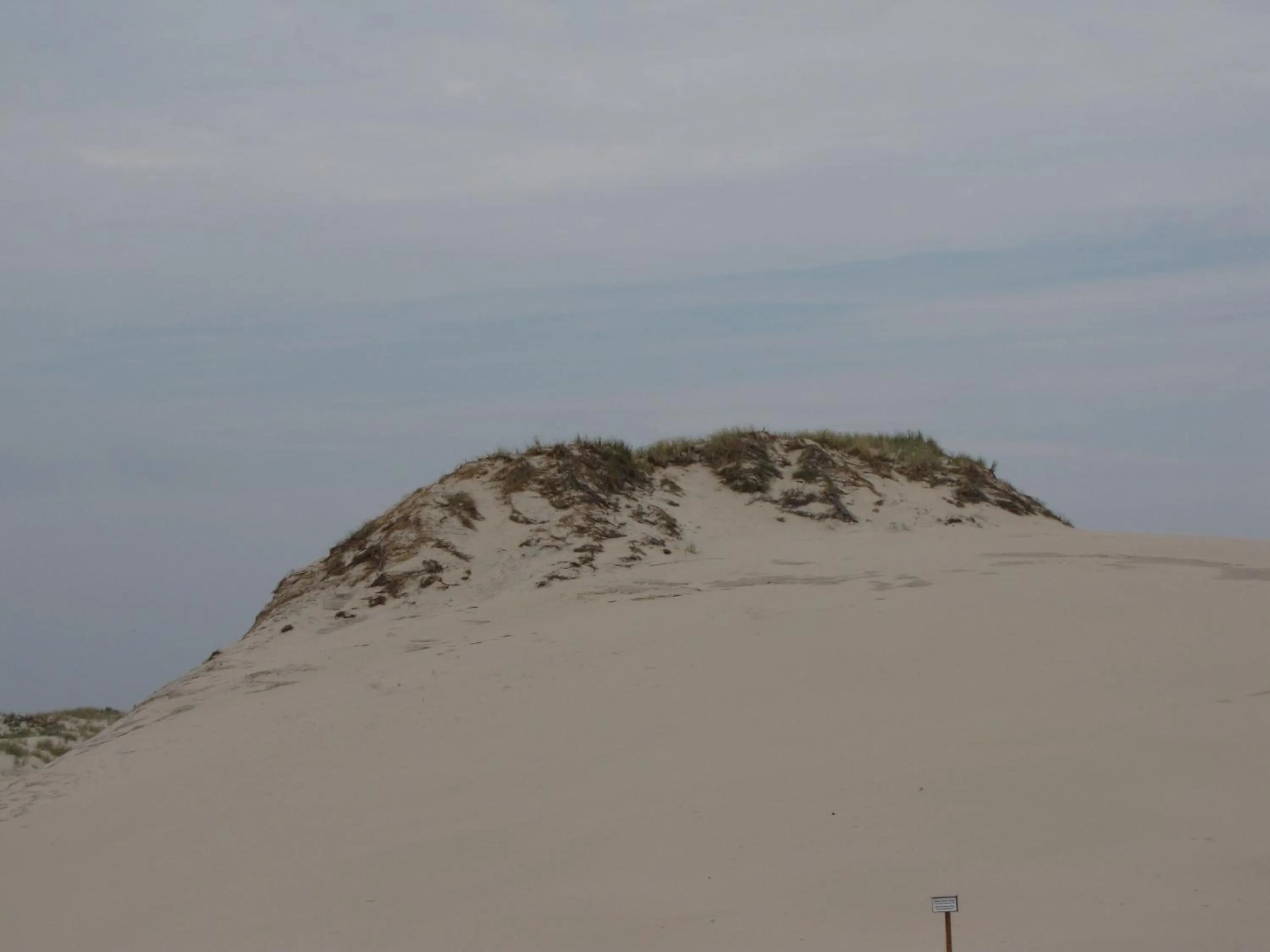 Beach in Willa Secesja