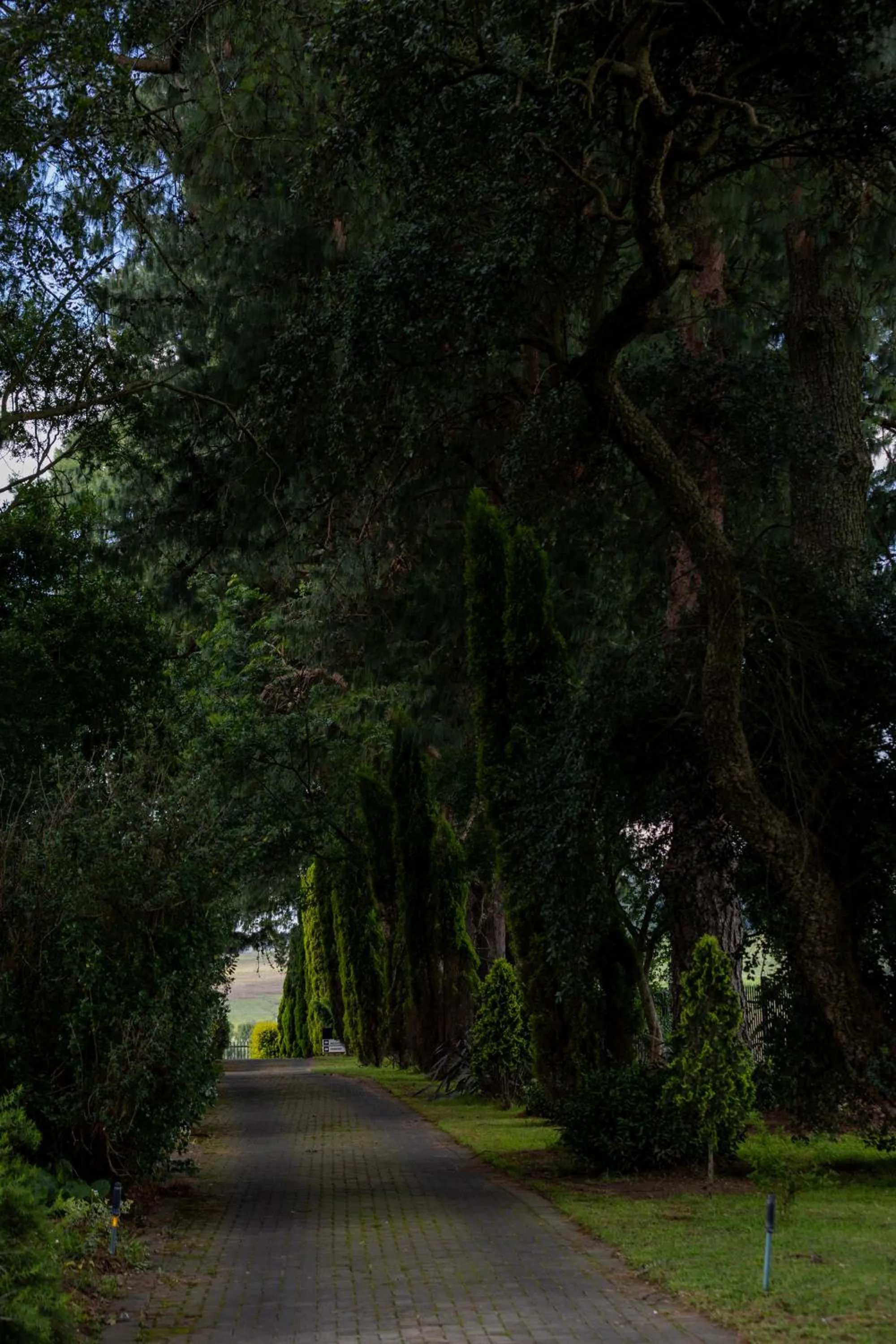 Highveld Splendour Boutique Bed and Breakfast