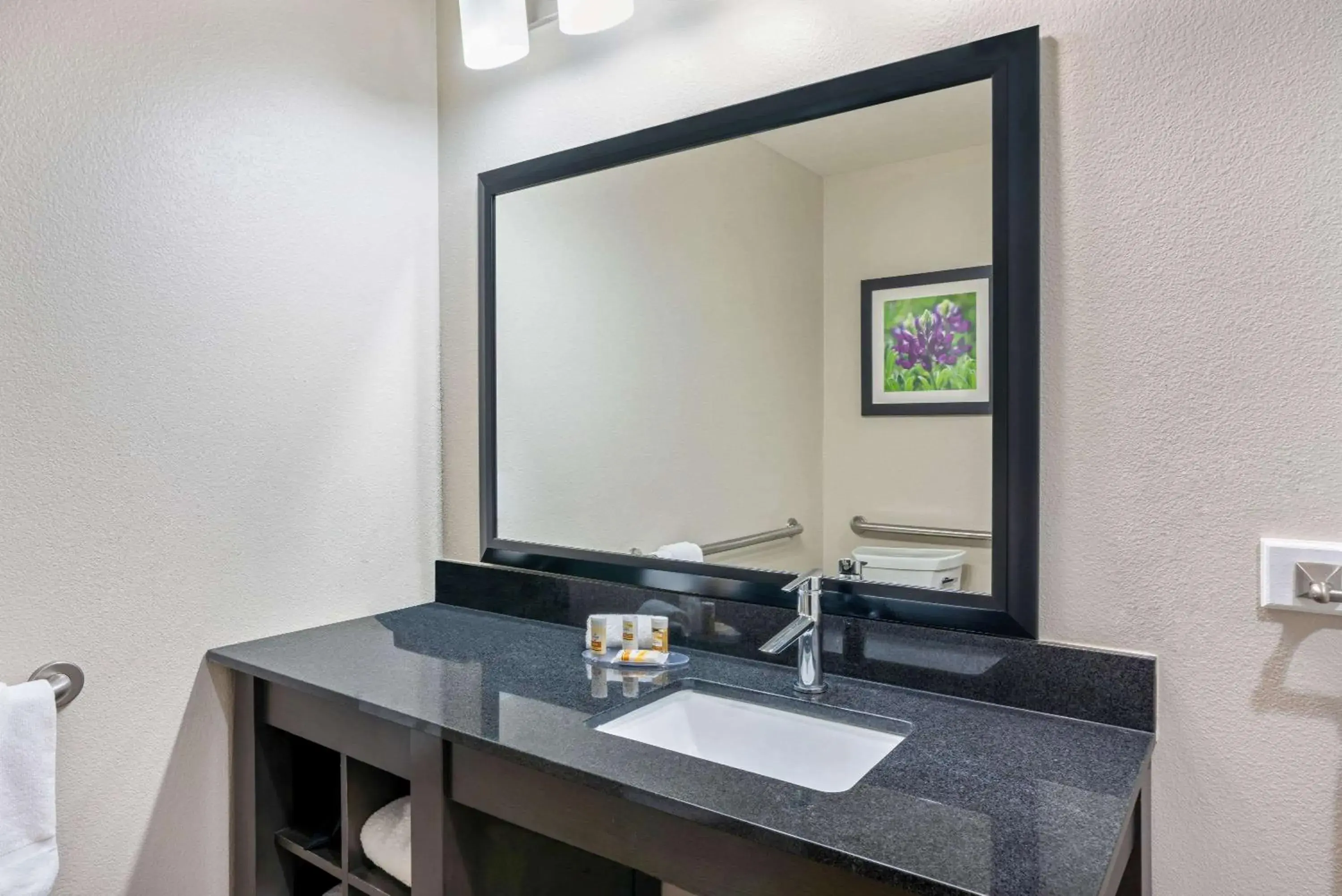 King Room in La Quinta by Wyndham College Station South King Room in La Quinta by Wyndham College Station South