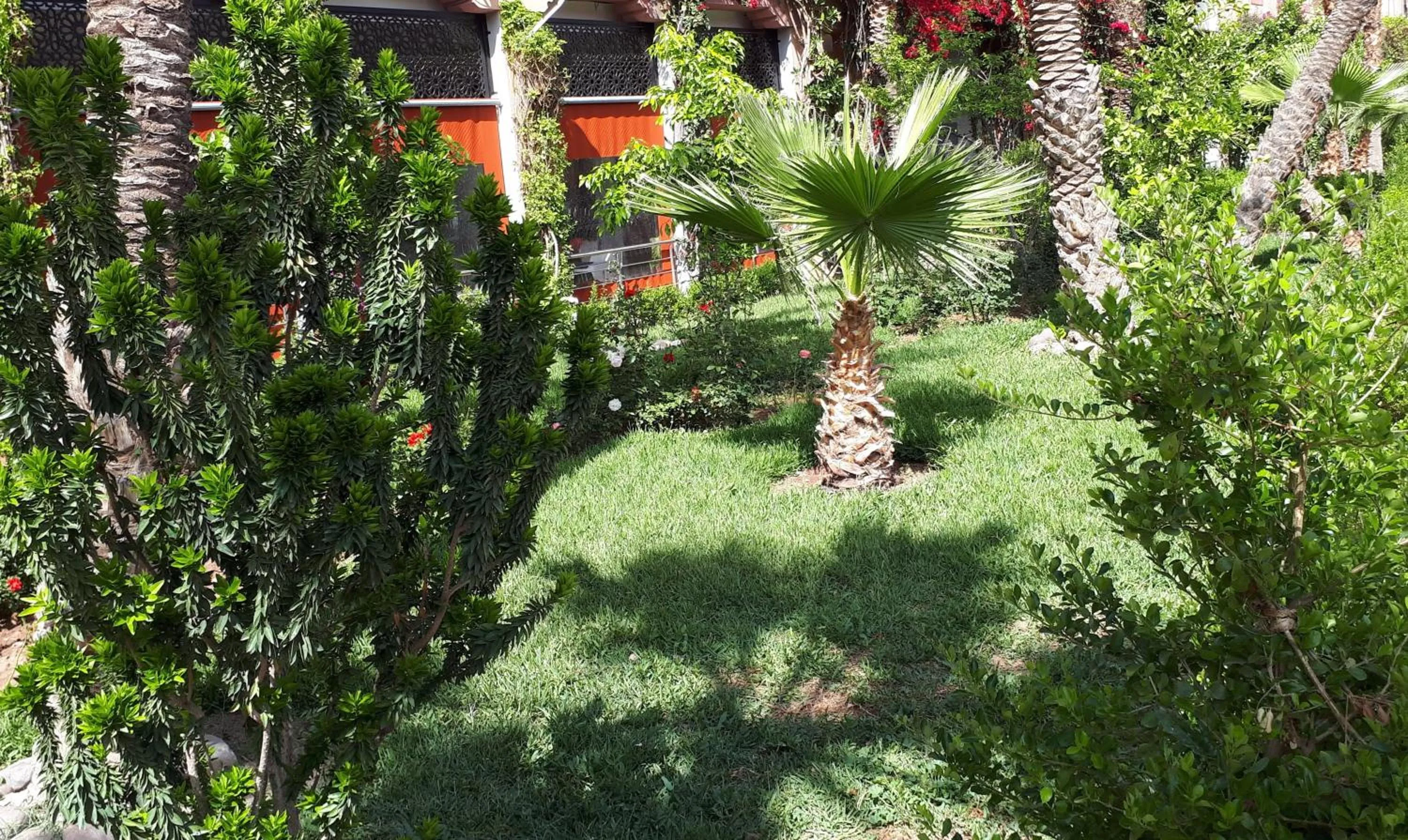 Garden in Riad with 3 Swimming Pools