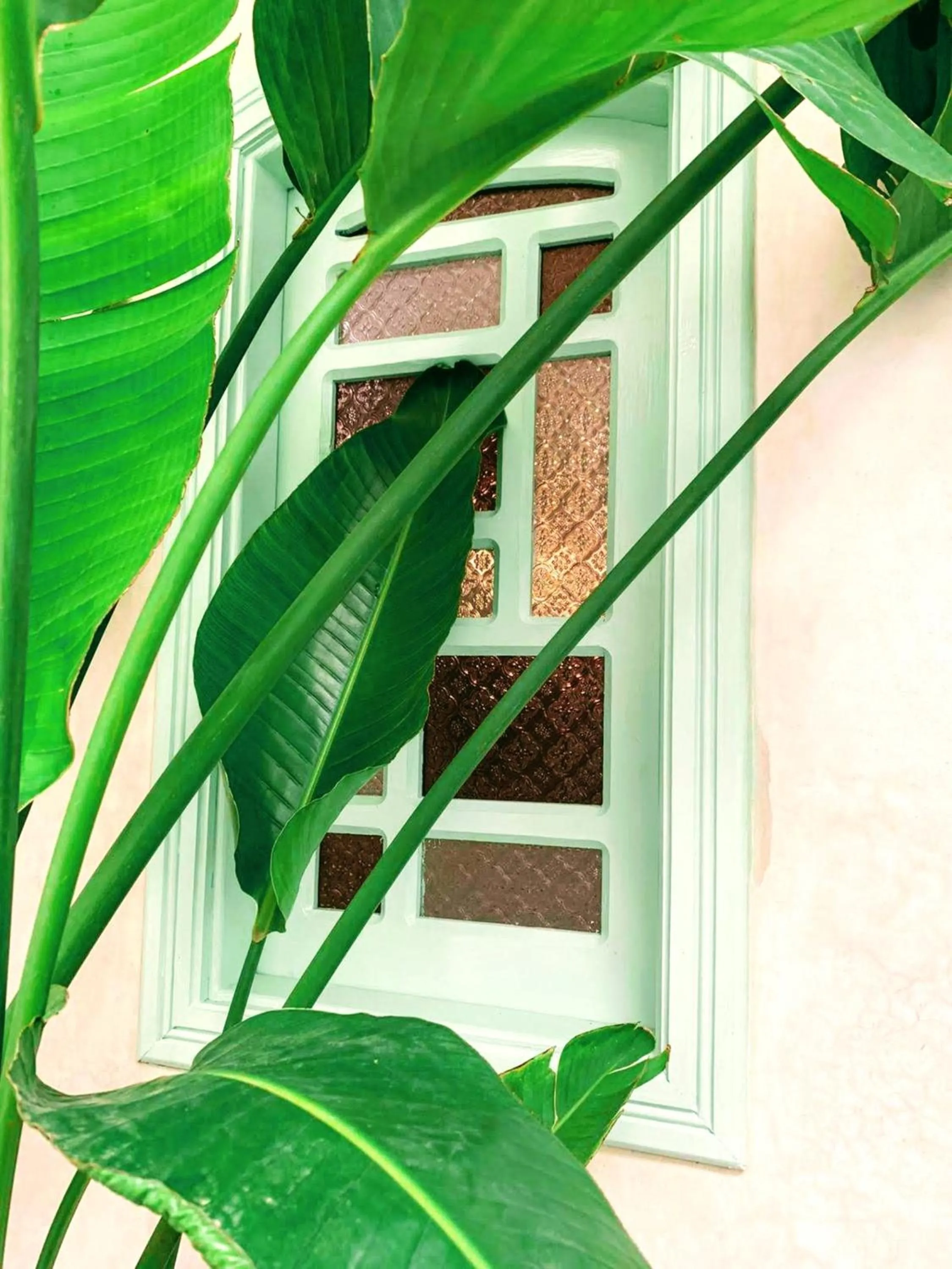 Garden in Riad with 3 Swimming Pools