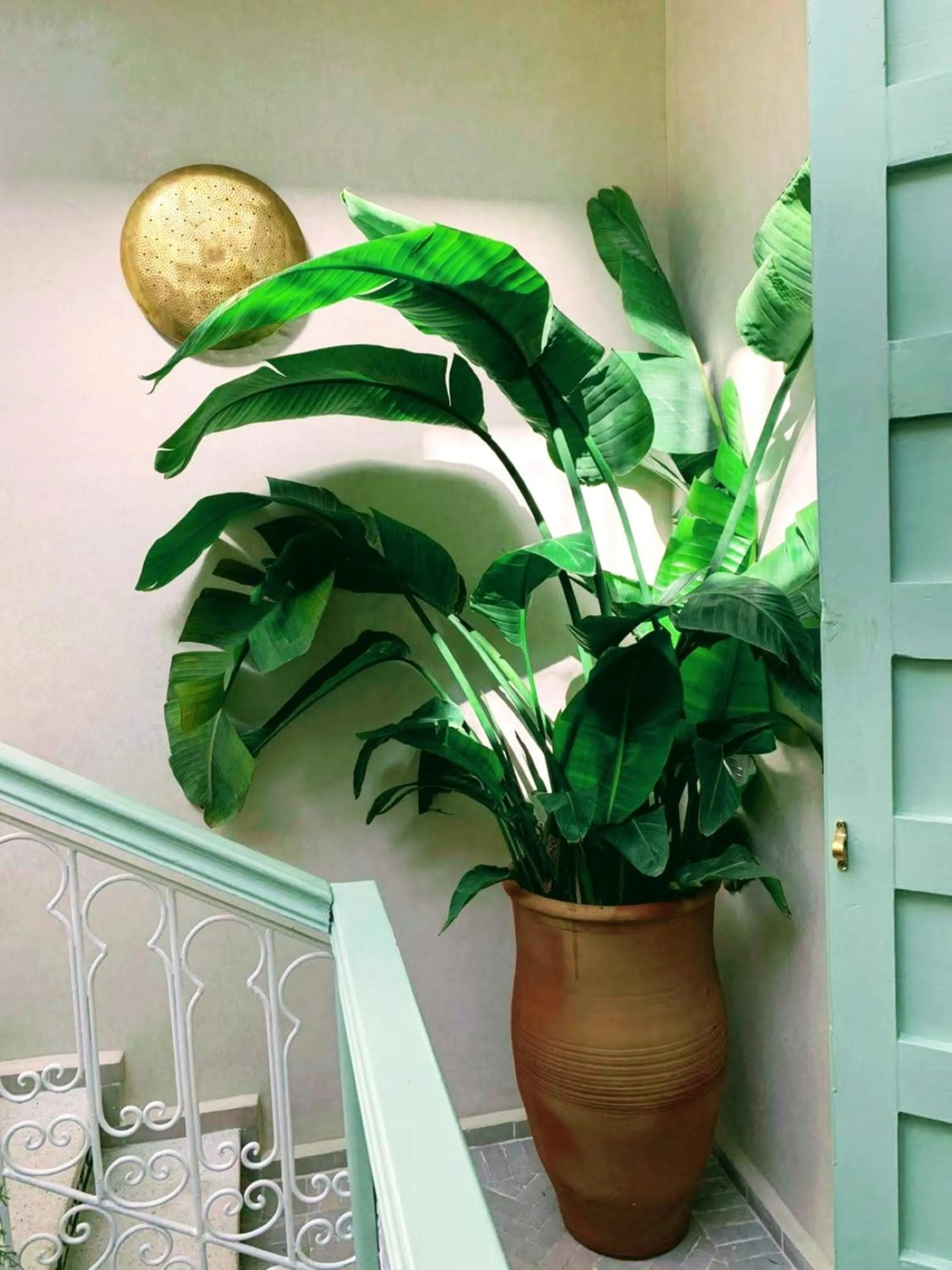 Decorative detail in Riad with 3 Swimming Pools