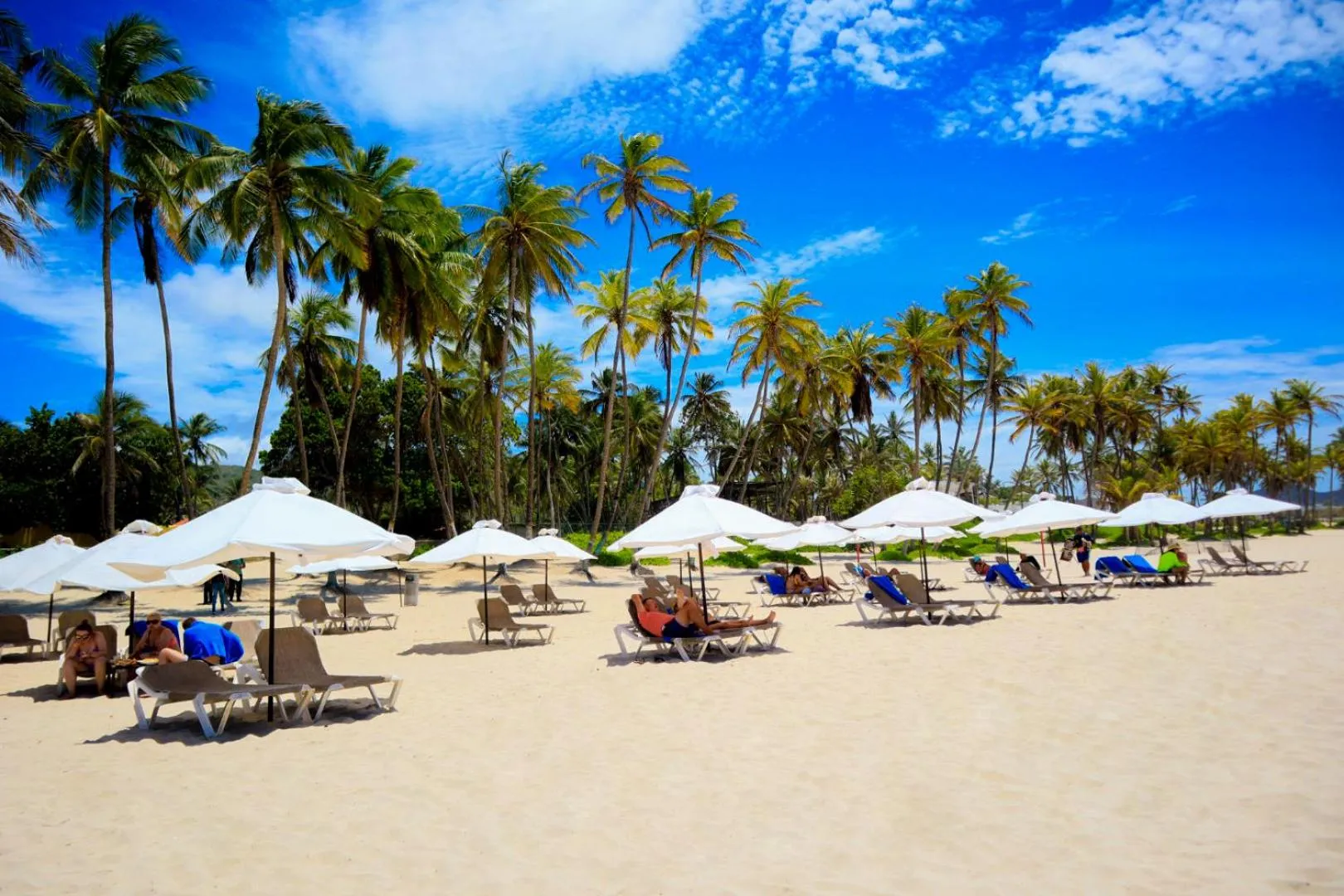 Natural landscape in Hesperia Playa el Agua