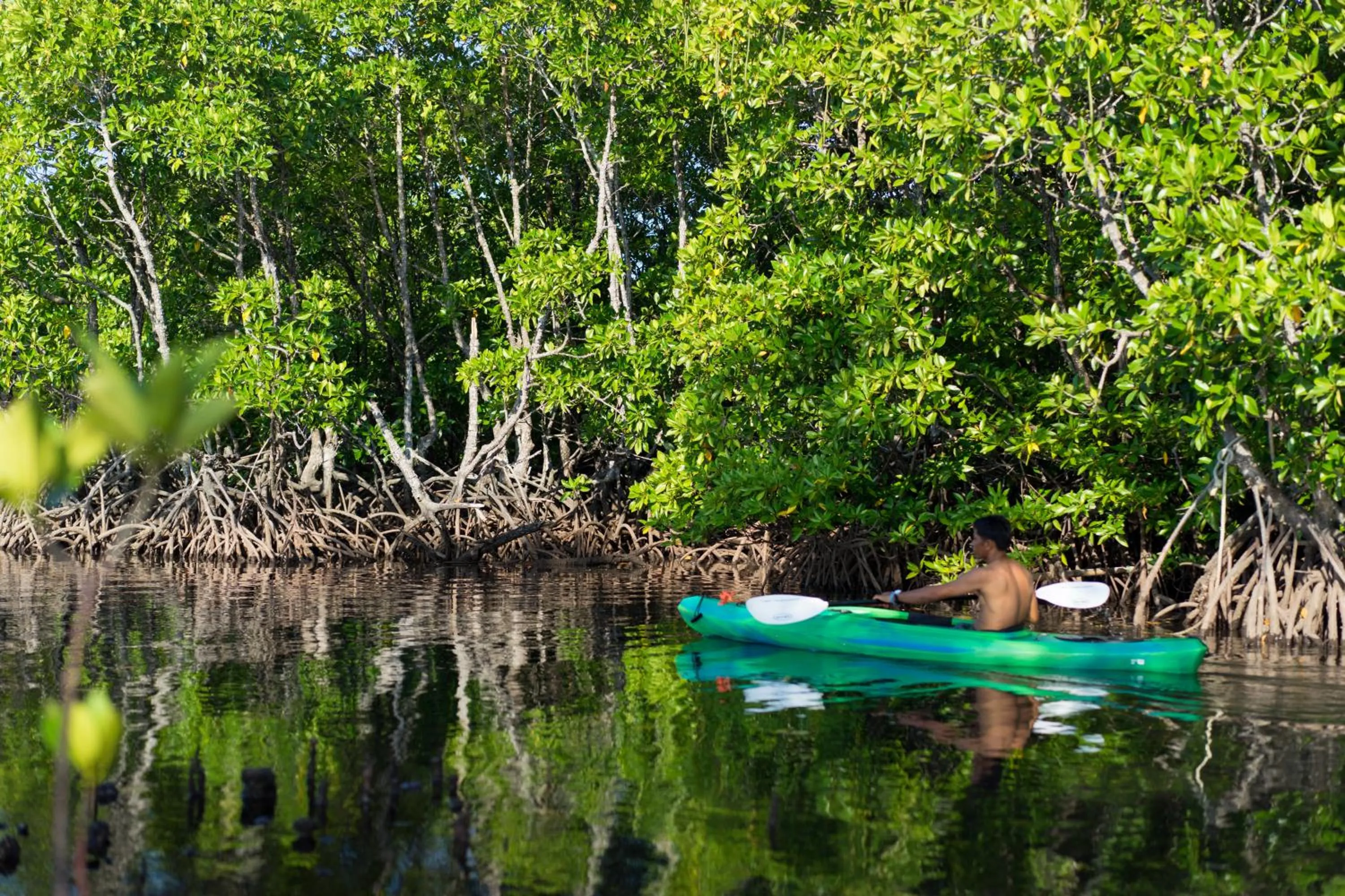 Canoeing in La Estancia Busuanga