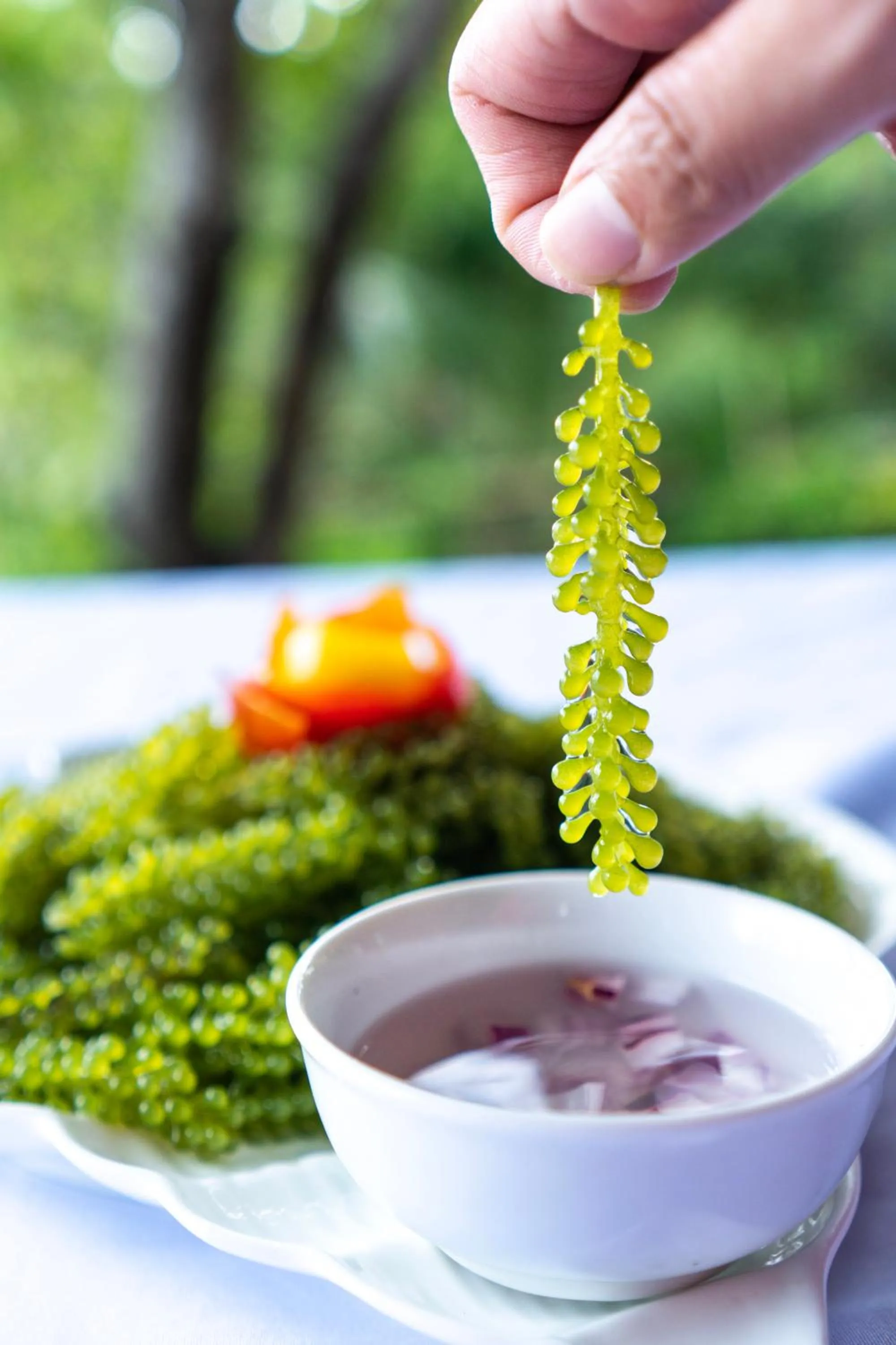 Food close-up in La Estancia Busuanga