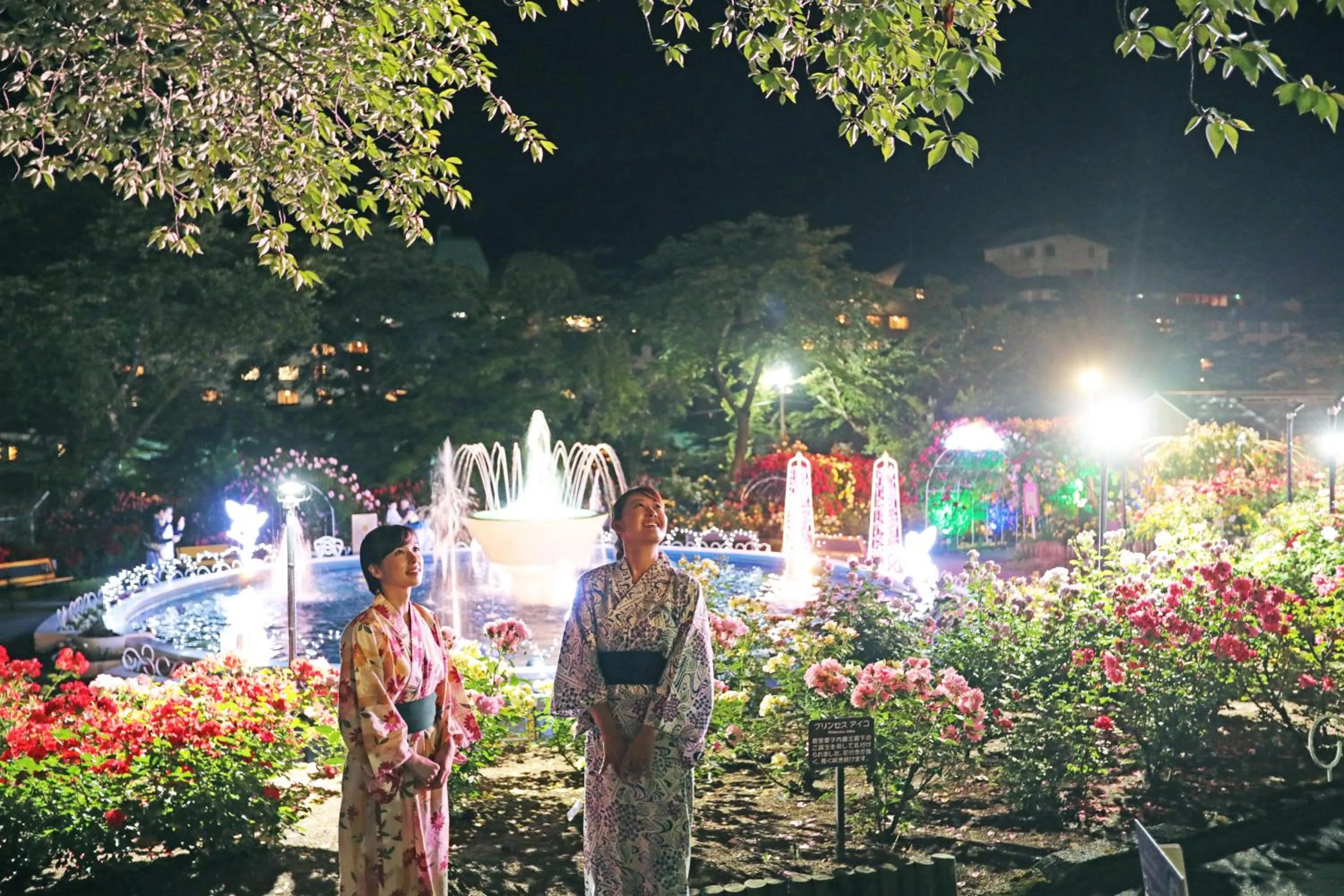 Nearby landmark in Hotel Koyokan