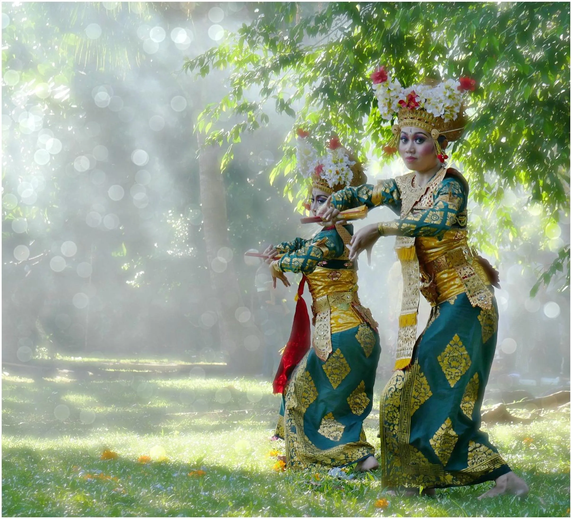 Activities in The LUXE Ubud - a Boutique Hotel