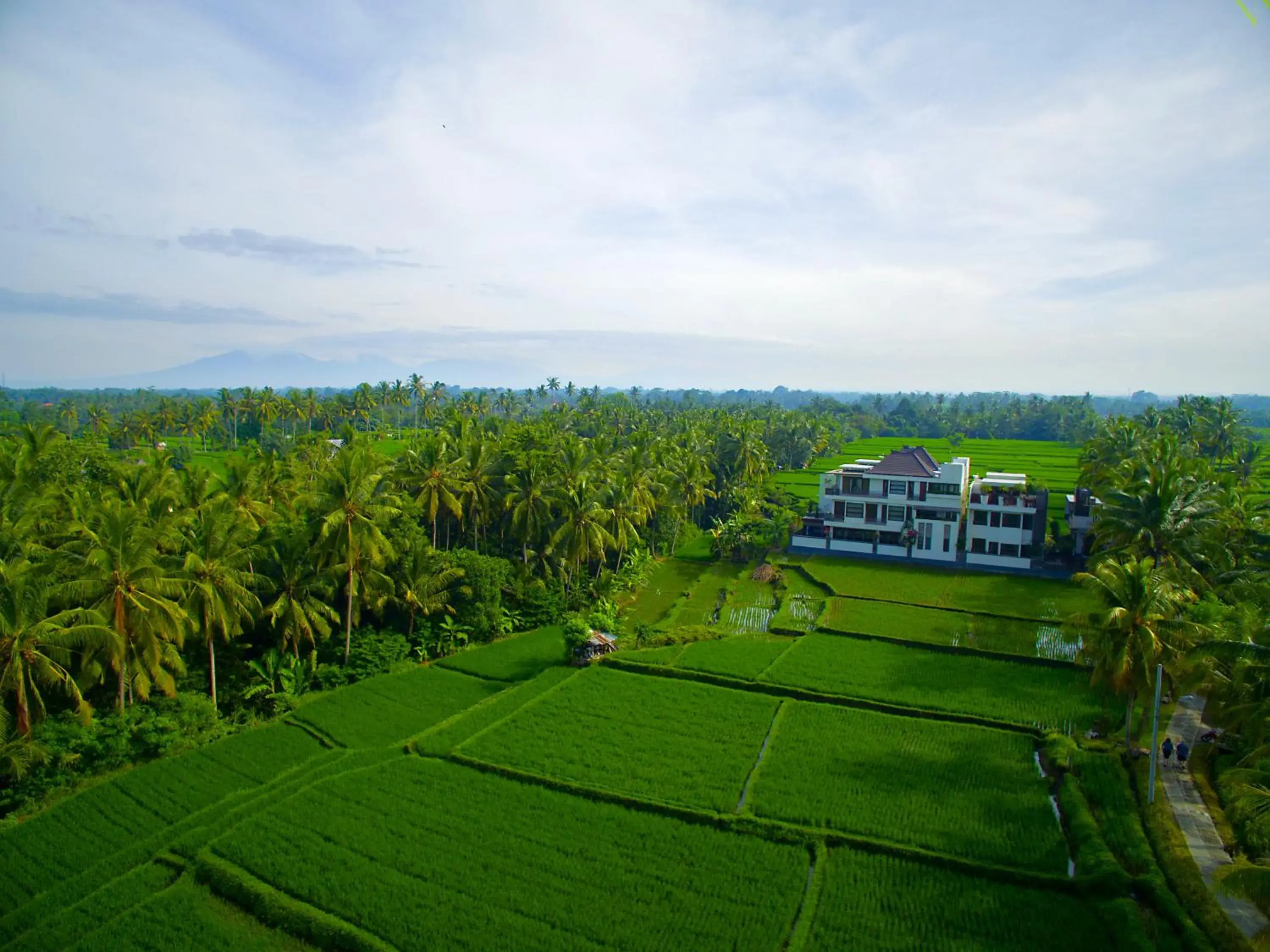 Property building in The LUXE Ubud - a Boutique Hotel Property building in The LUXE Ubud - a Boutique Hotel