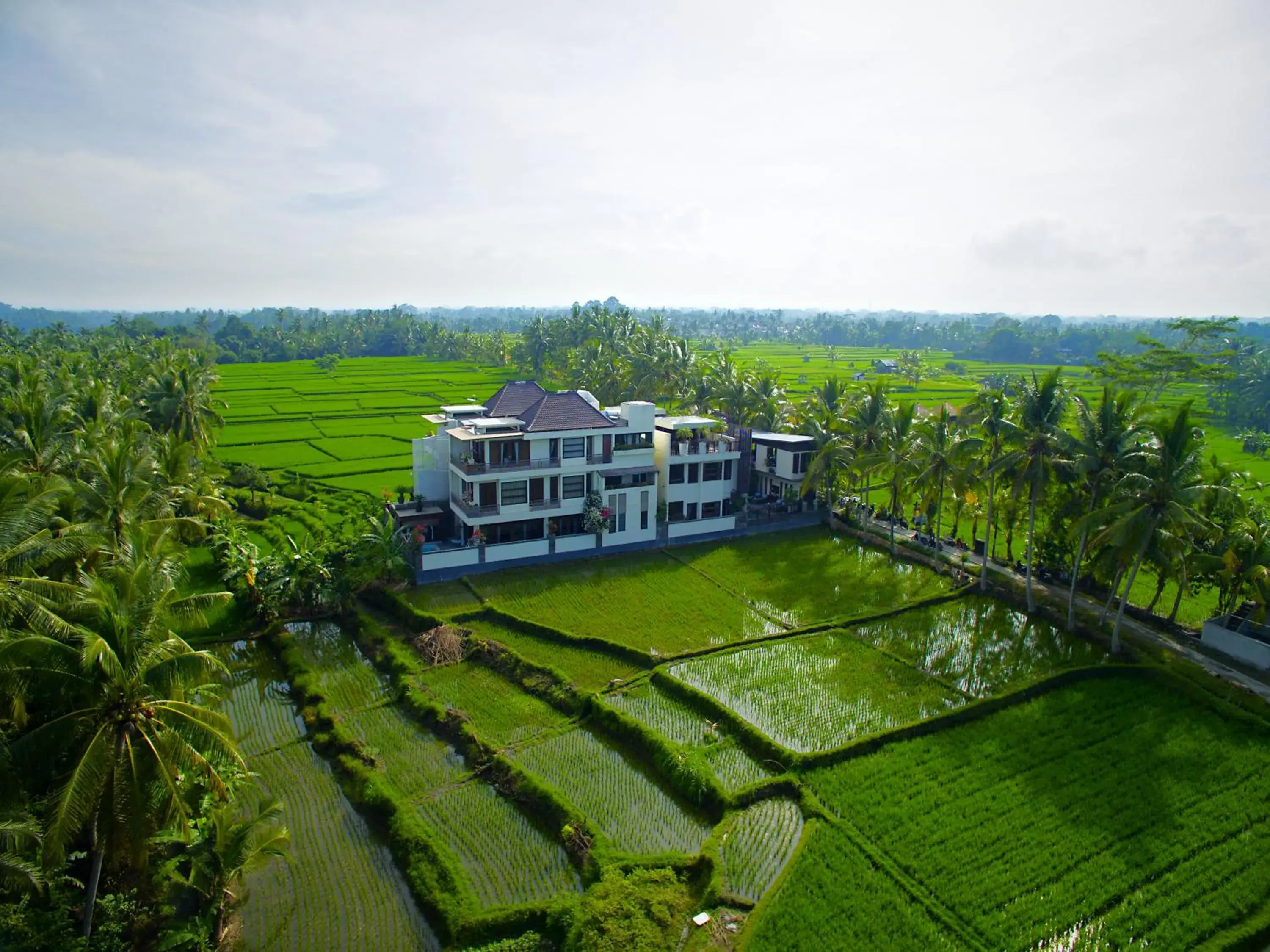 Property building in The LUXE Ubud - a Boutique Hotel Property building in The LUXE Ubud - a Boutique Hotel