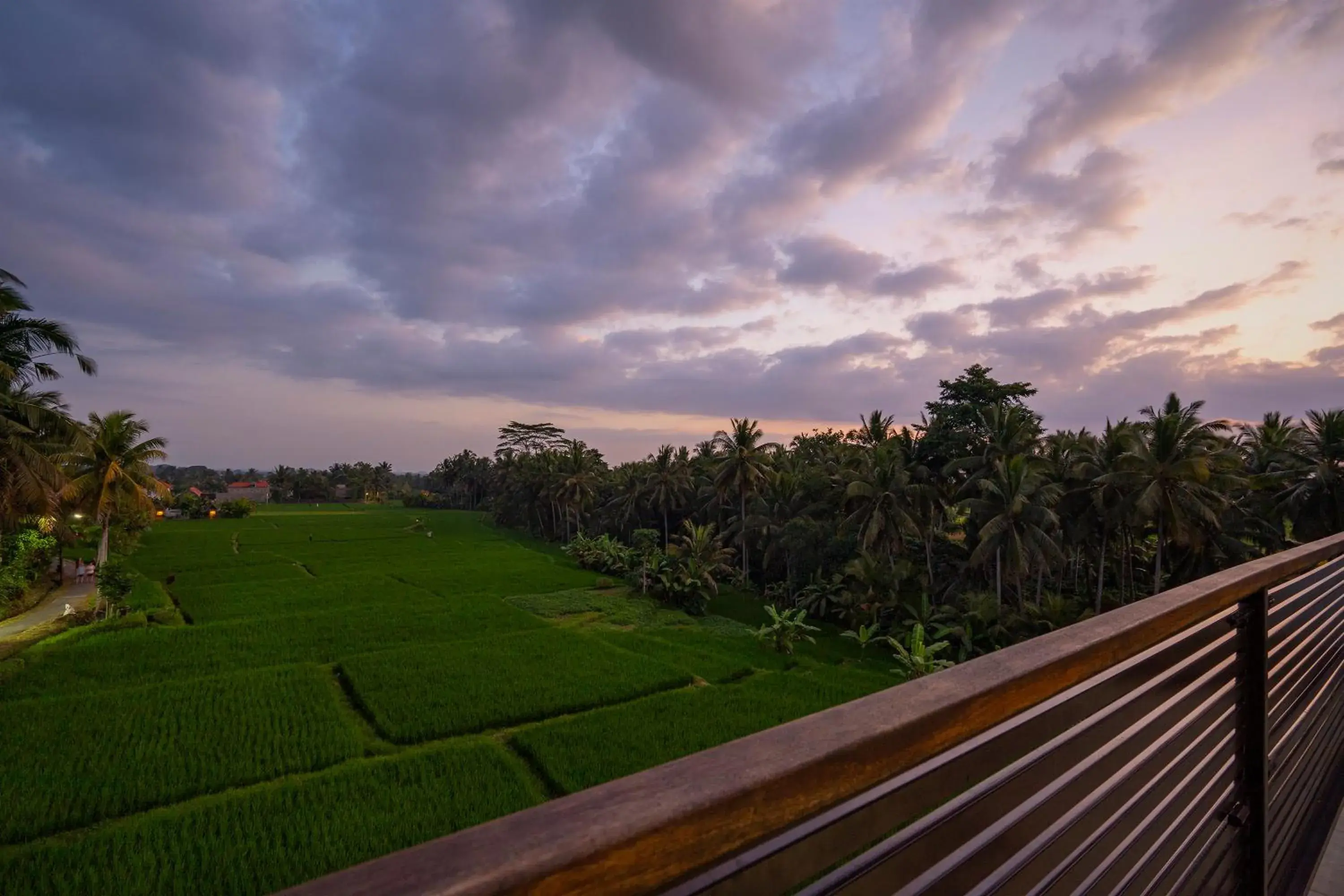View (from property/room) in The LUXE Ubud - a Boutique Hotel View (from property/room) in The LUXE Ubud - a Boutique Hotel