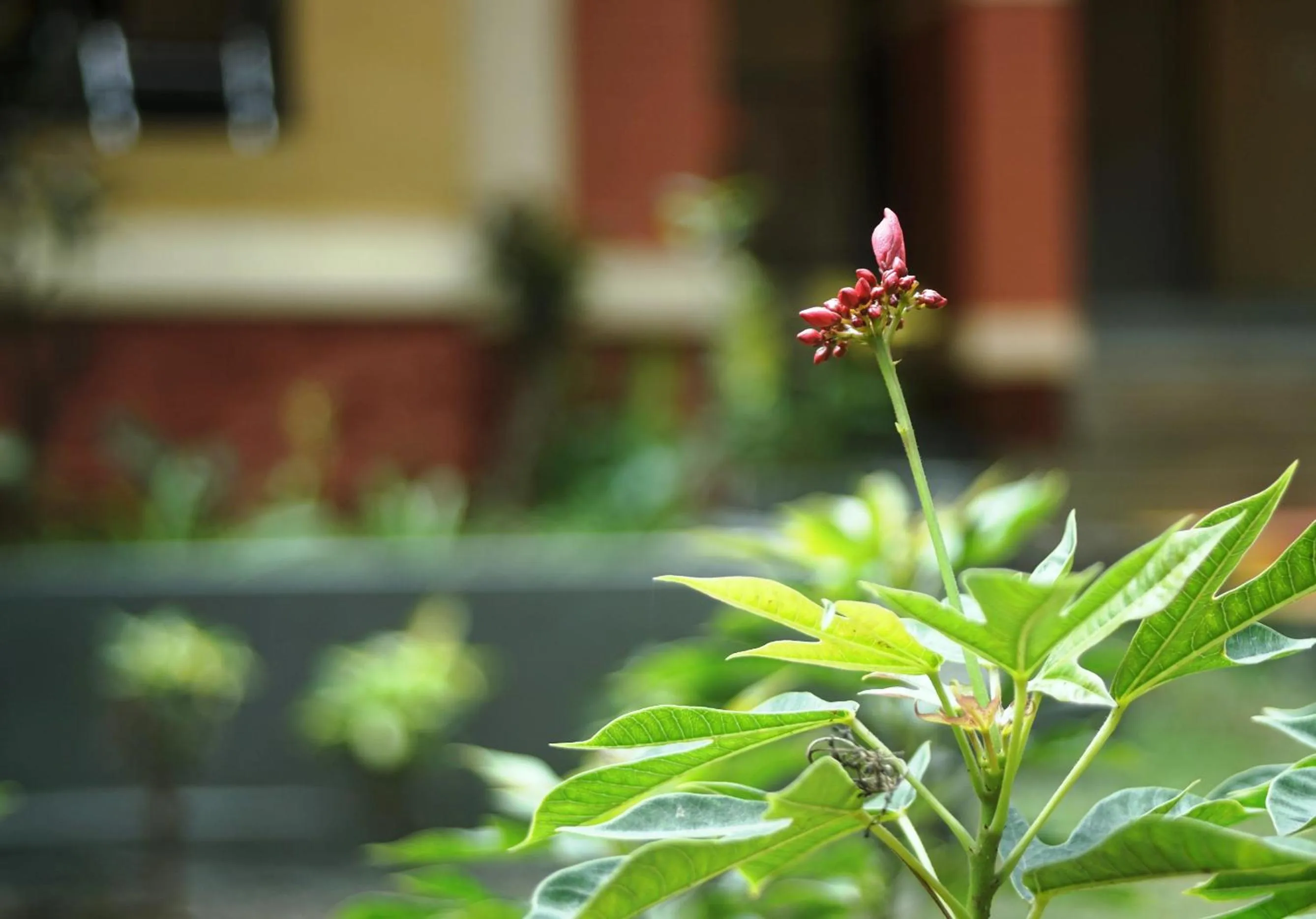 Natural landscape in Nature Trails Durshet, Khopoli