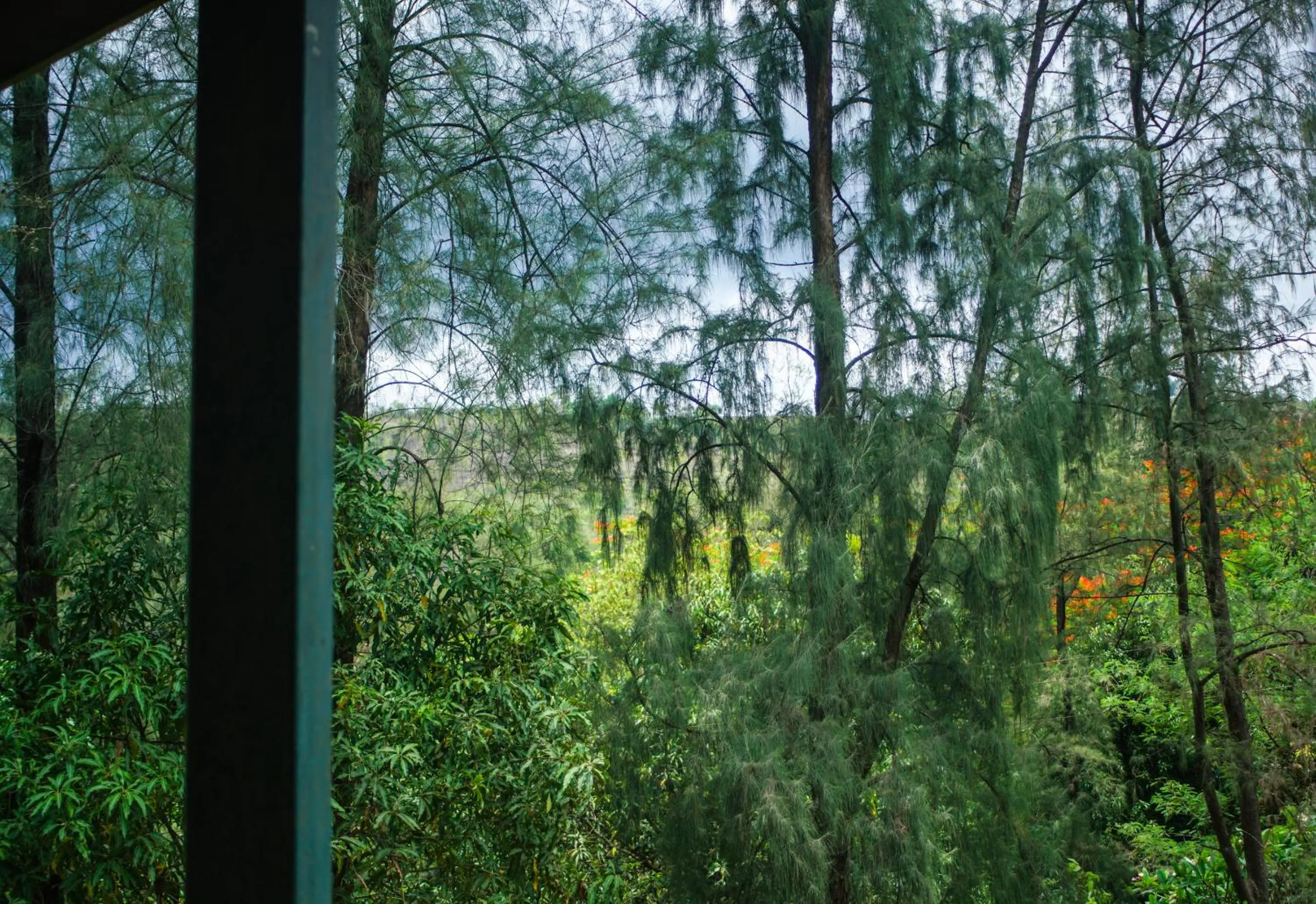 Natural landscape in Nature Trails Durshet, Khopoli