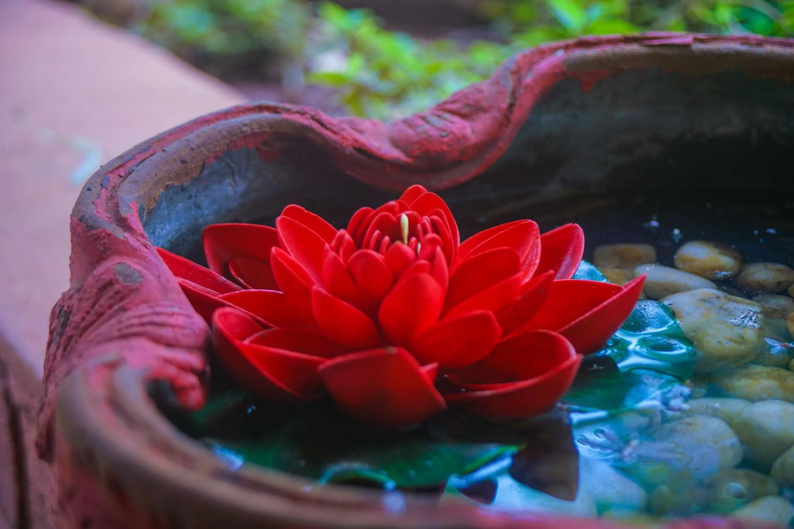 Other in Nature Trails Durshet, Khopoli