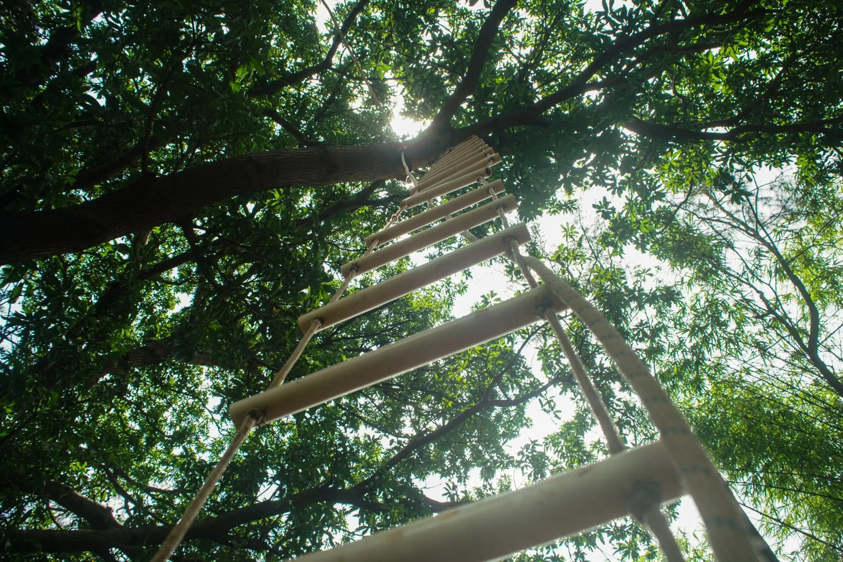 Activities in Nature Trails Durshet, Khopoli