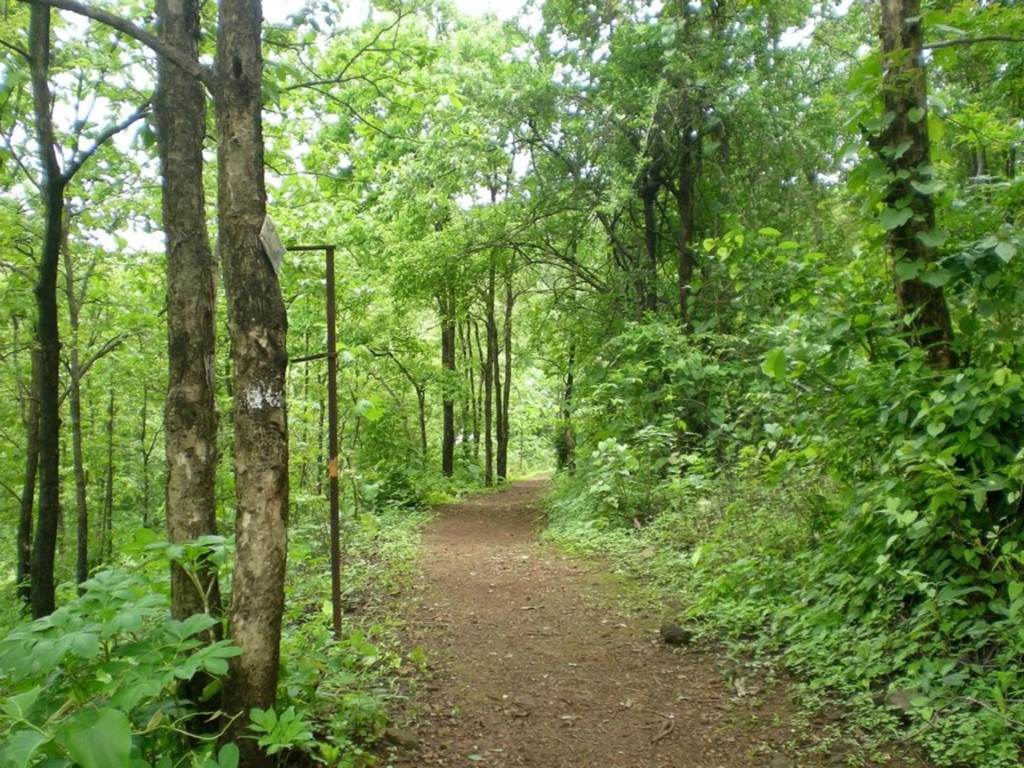Natural landscape in Nature Trails Durshet, Khopoli