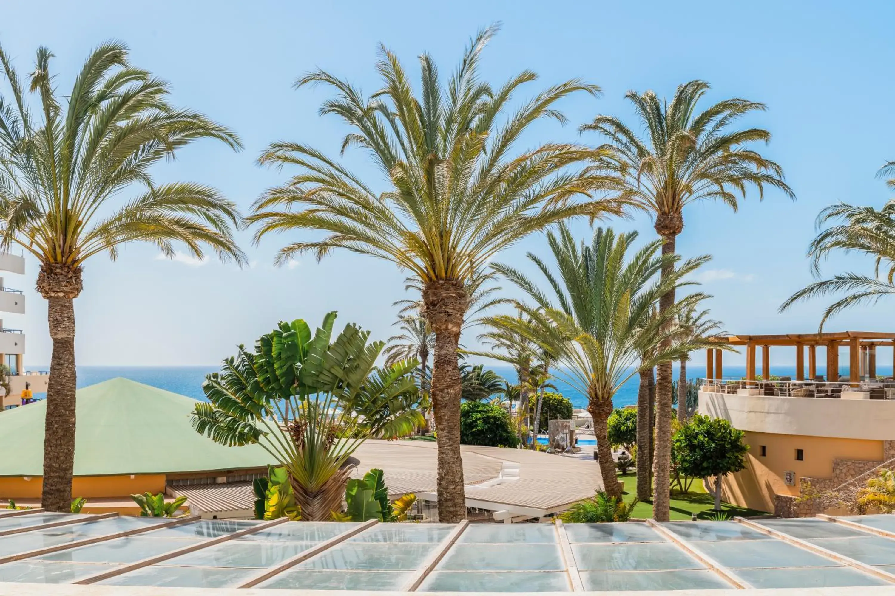 Garden view in Iberostar Waves Playa Gaviotas All Inclusive Garden view in Iberostar Waves Playa Gaviotas All Inclusive