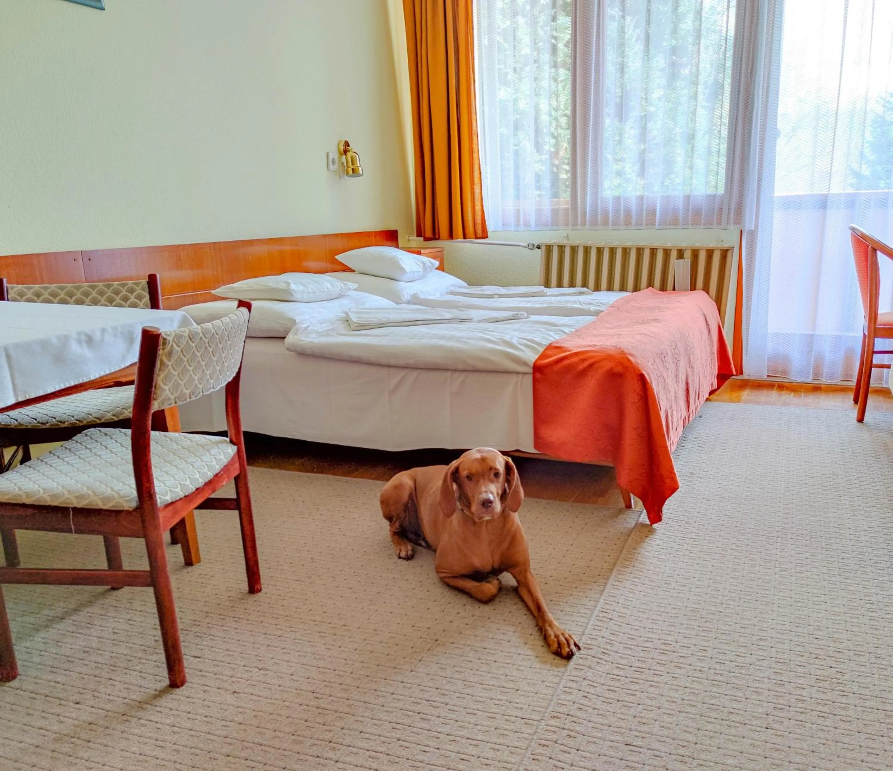 Studio with Sofa Bed - single occupancy in Apartman Hotel