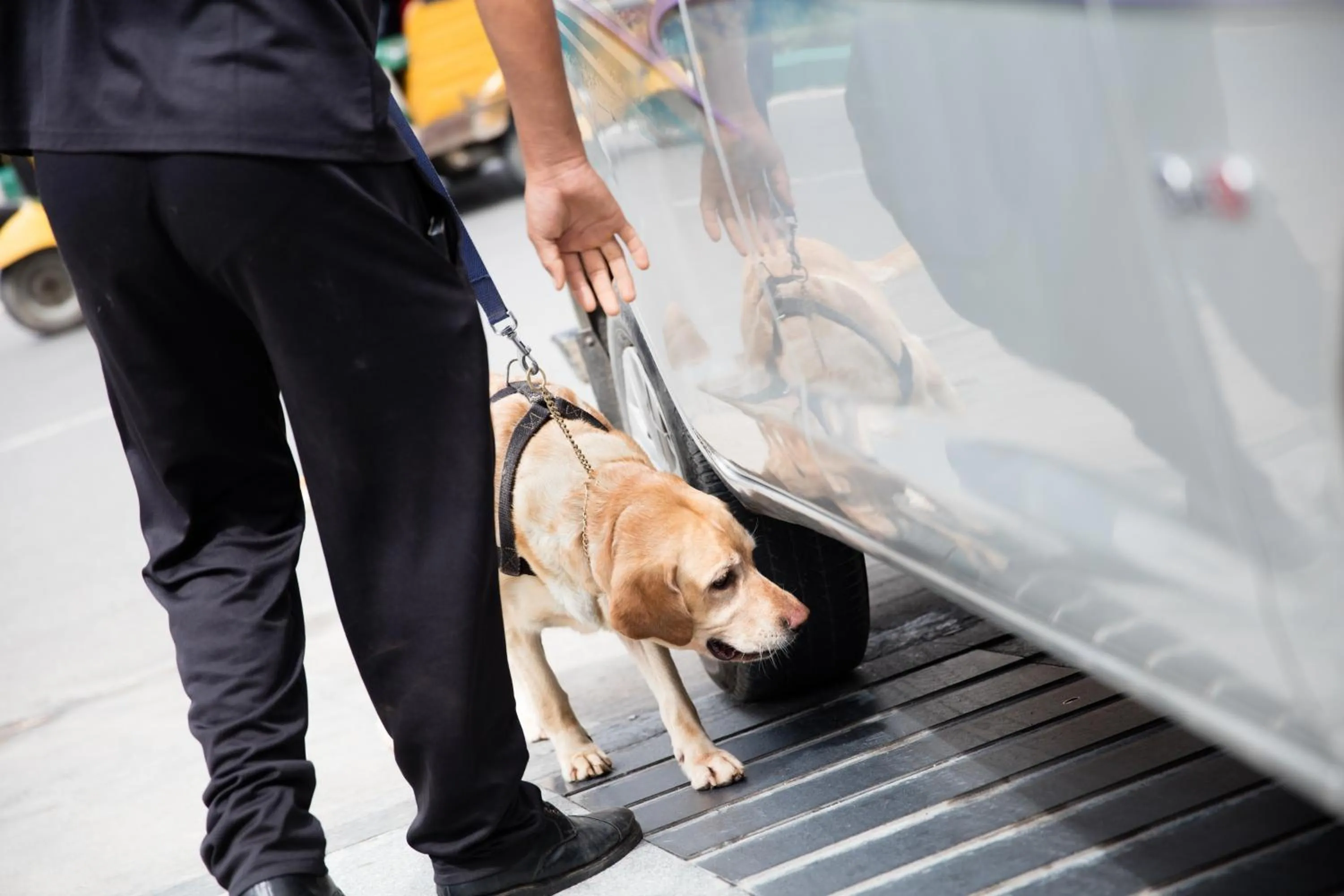 Area and facilities in Oakwood Residence Kapil Hyderabad