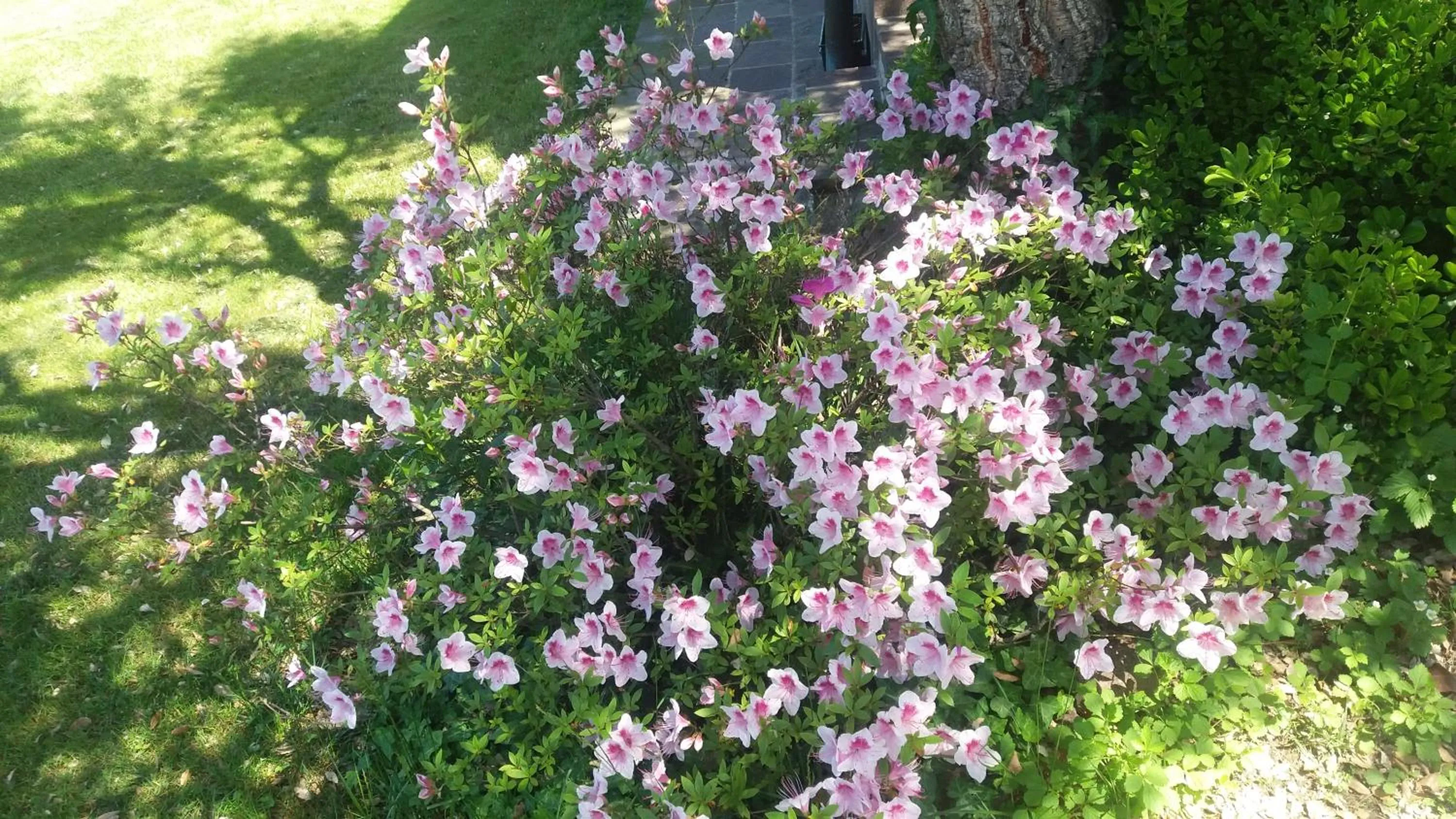 Decorative detail in Villa Campo dei Fiori