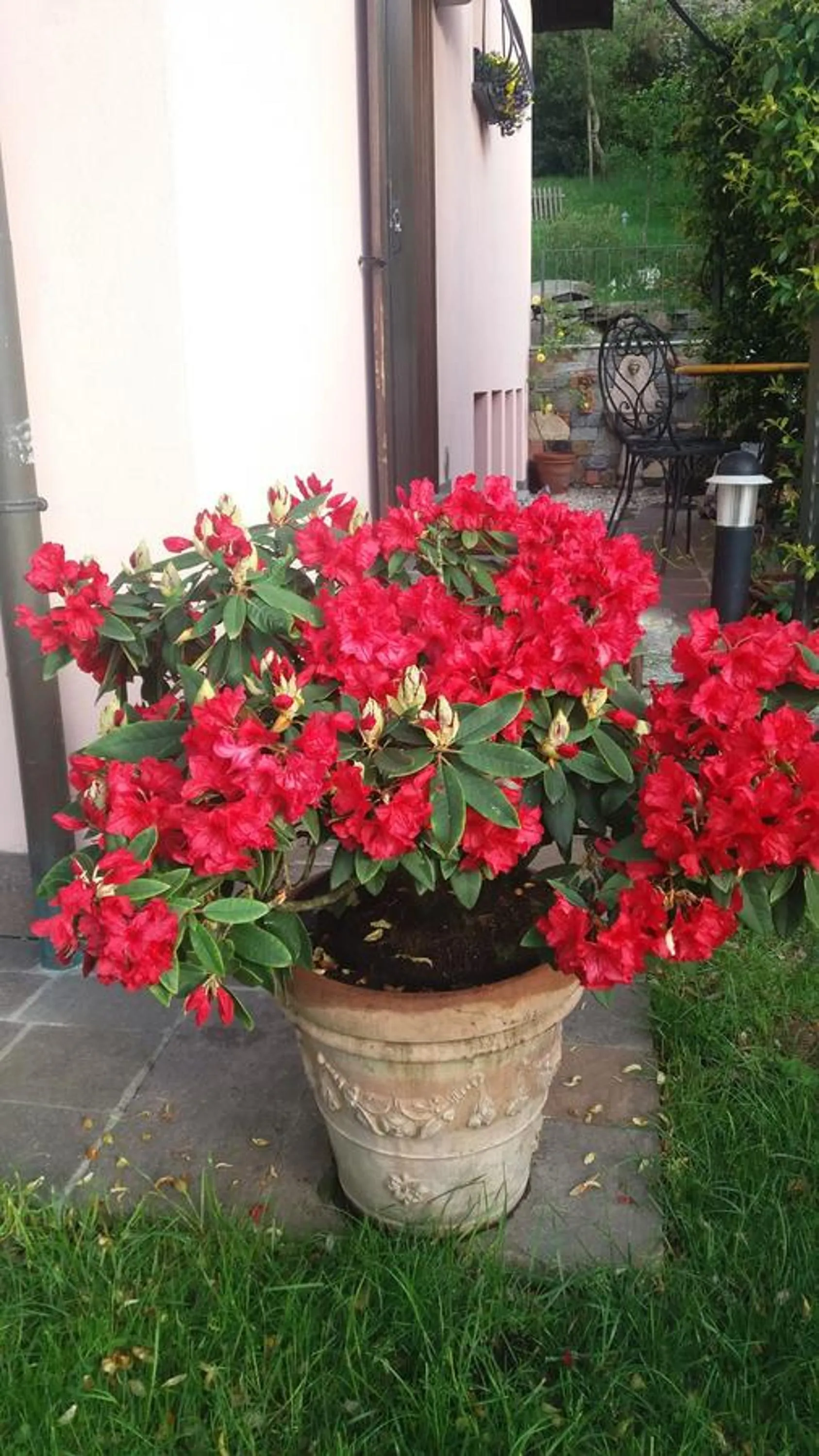 Villa Campo dei Fiori