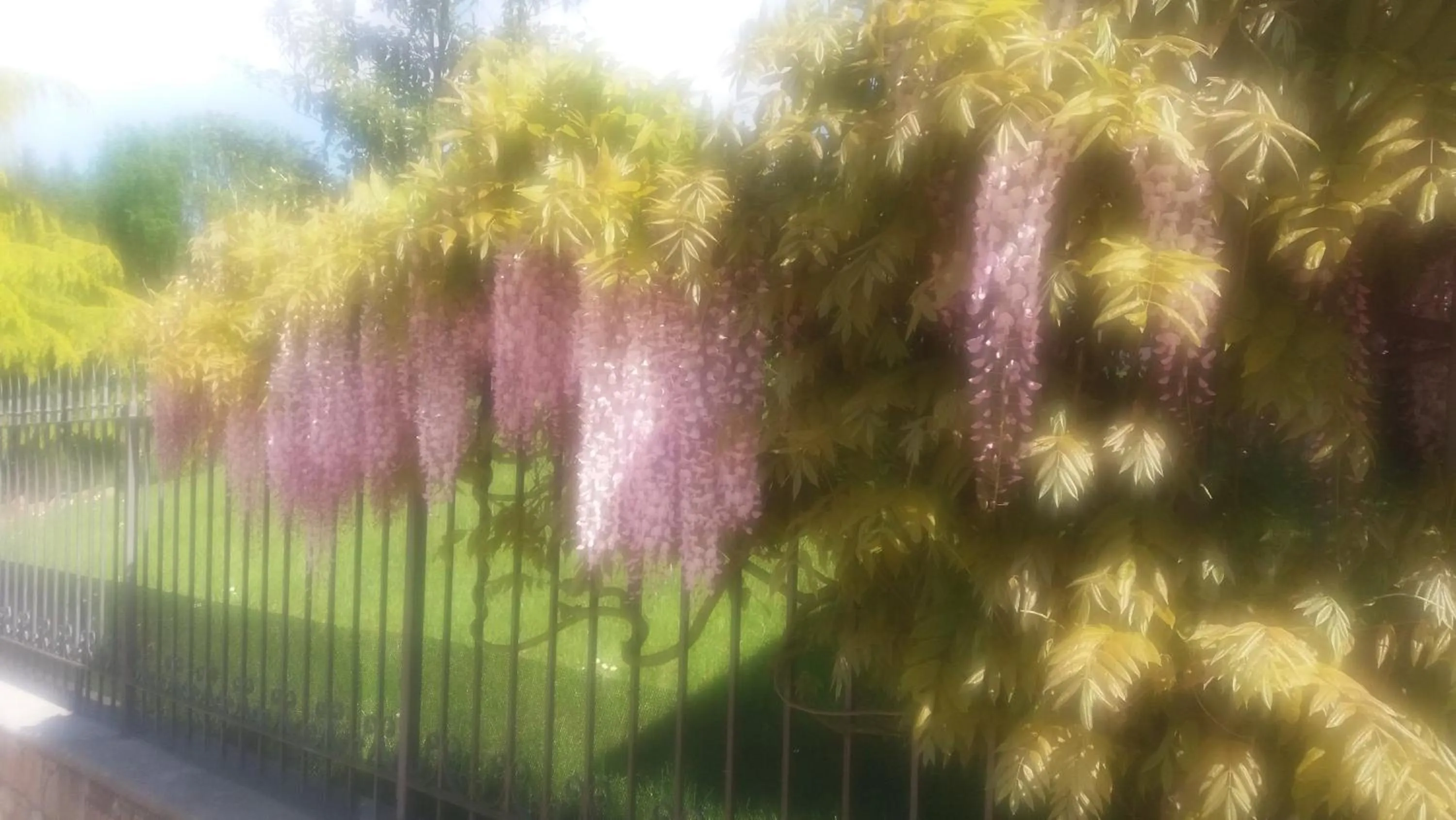 Villa Campo dei Fiori