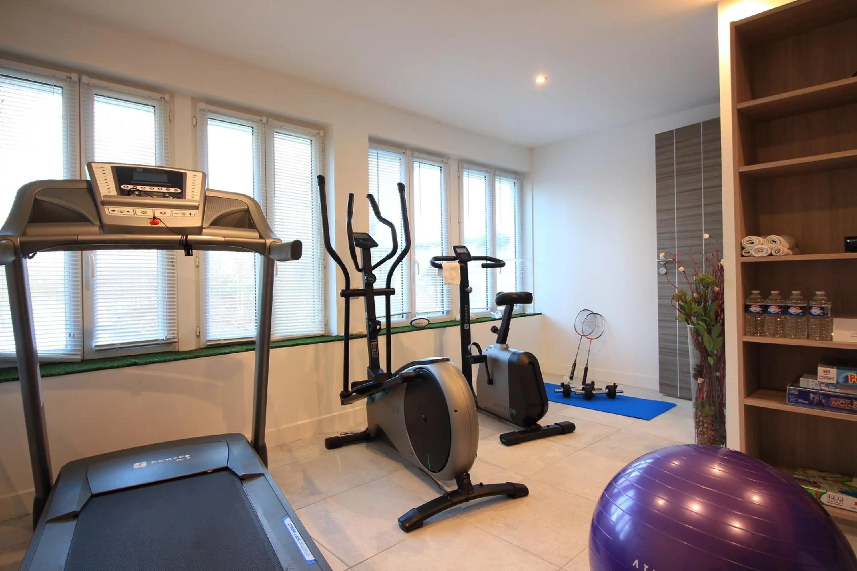 Fitness centre/facilities in Hôtel L'Esturgeon