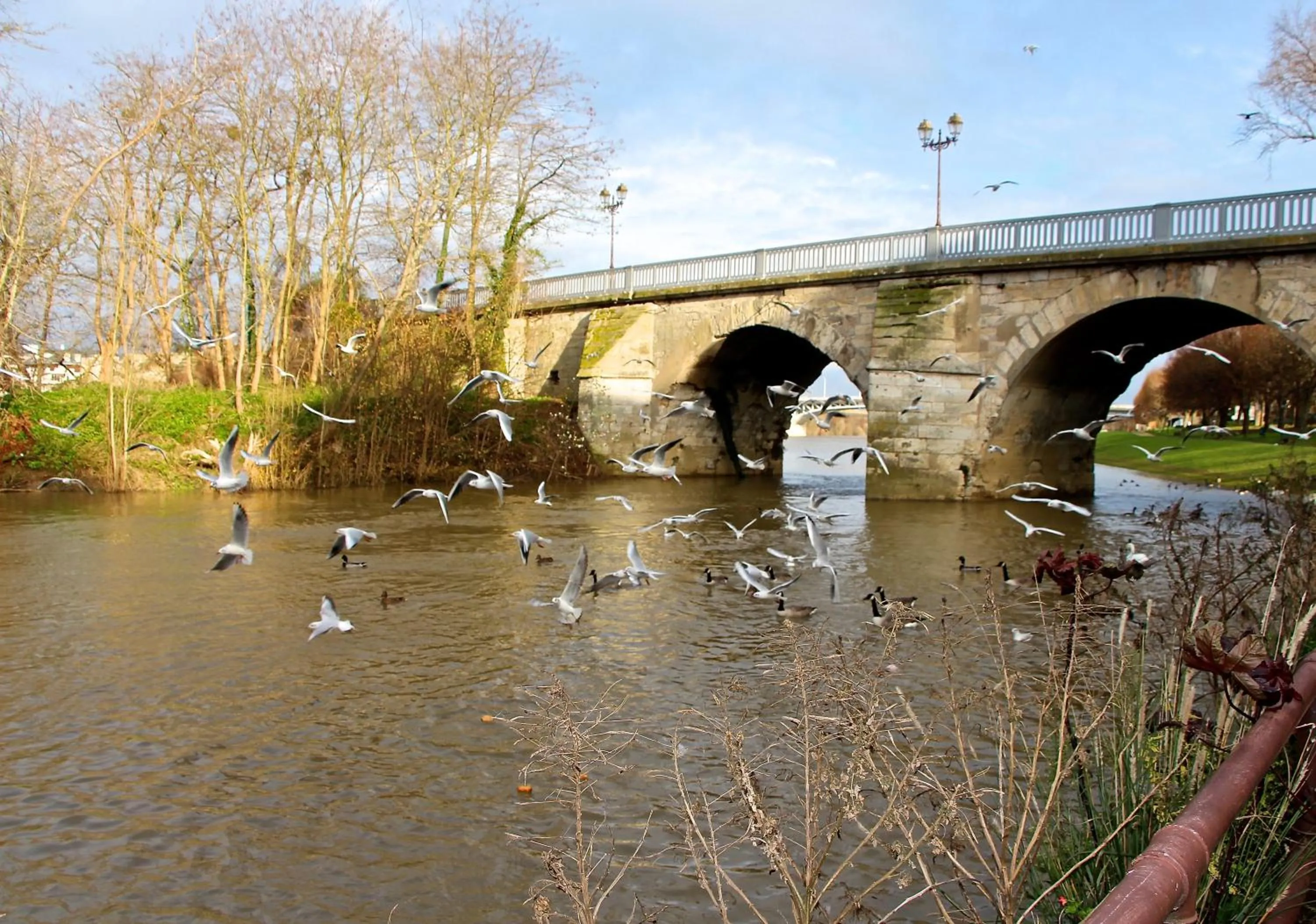 On site in Hôtel L'Esturgeon
