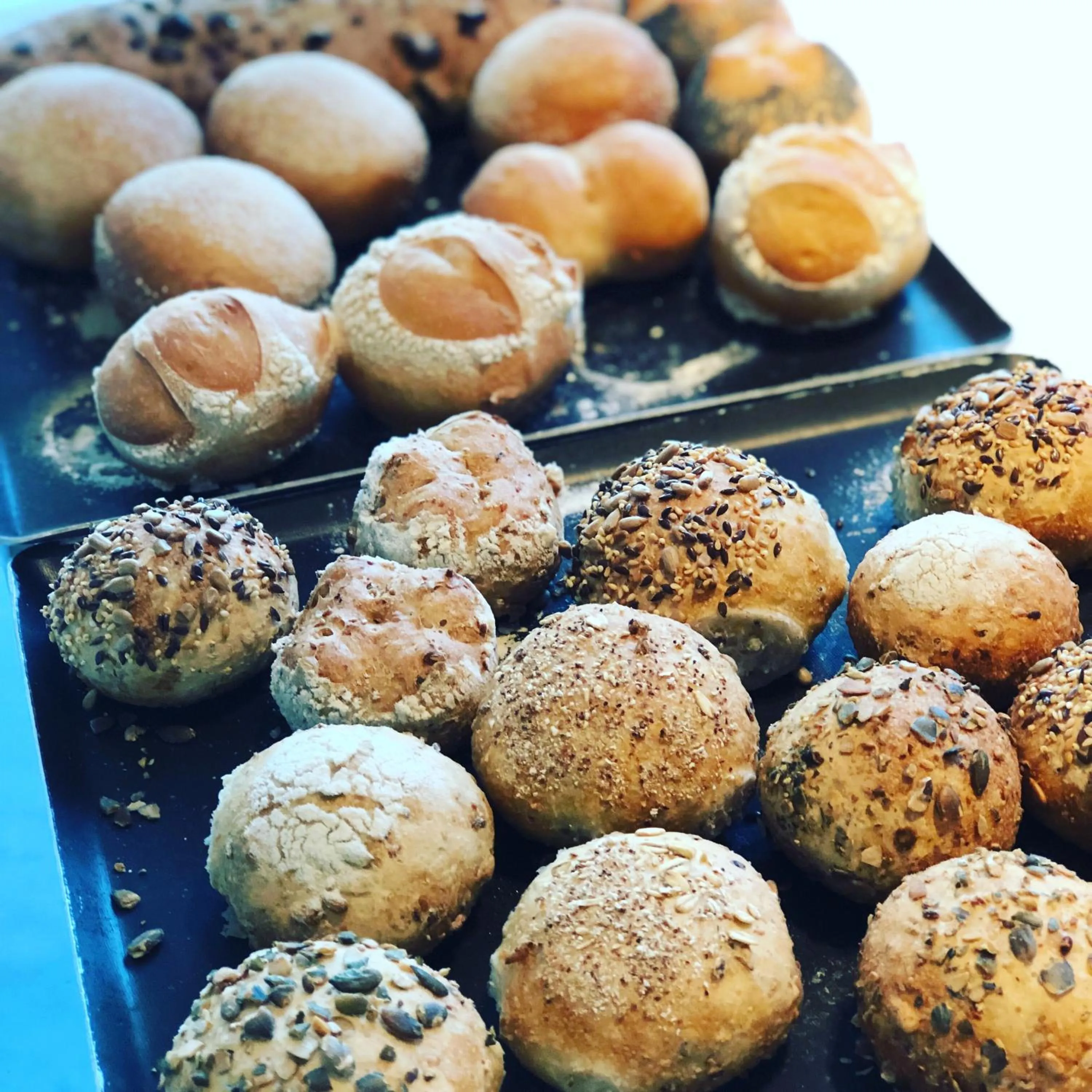 Breakfast in B&B Ceder10