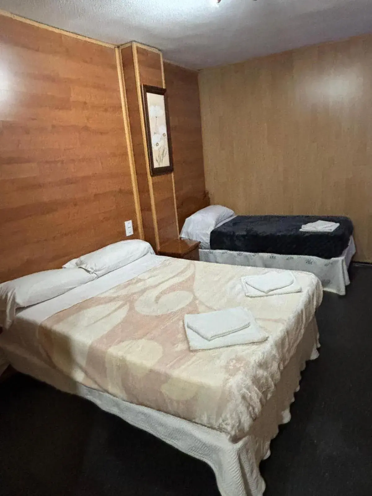 Deluxe Room (2 Adults + 1 Child) in Hotel Don Jose Deluxe Room (2 Adults + 1 Child) in Hotel Don Jose
