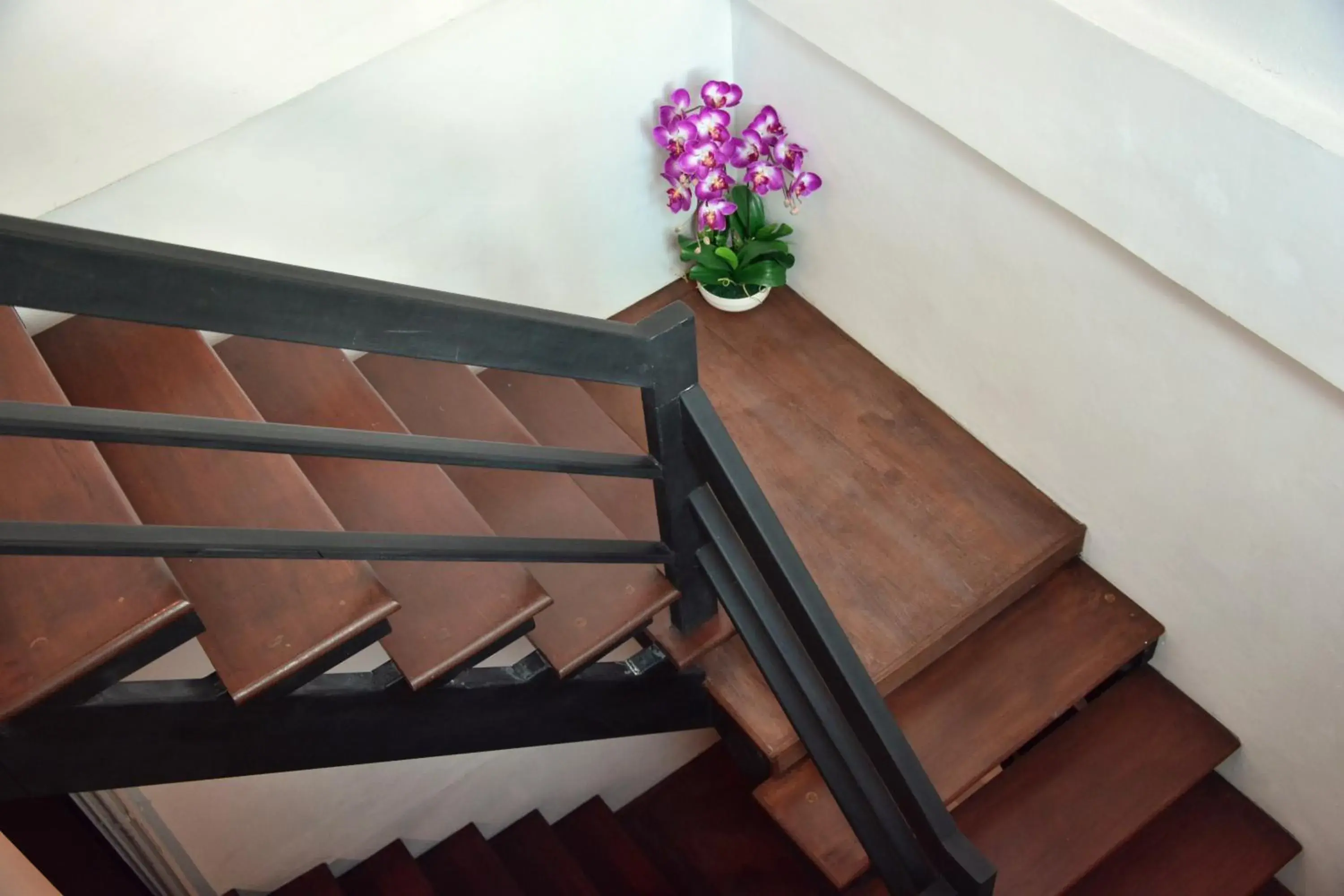 Property building in Seedling House Property building in Seedling House