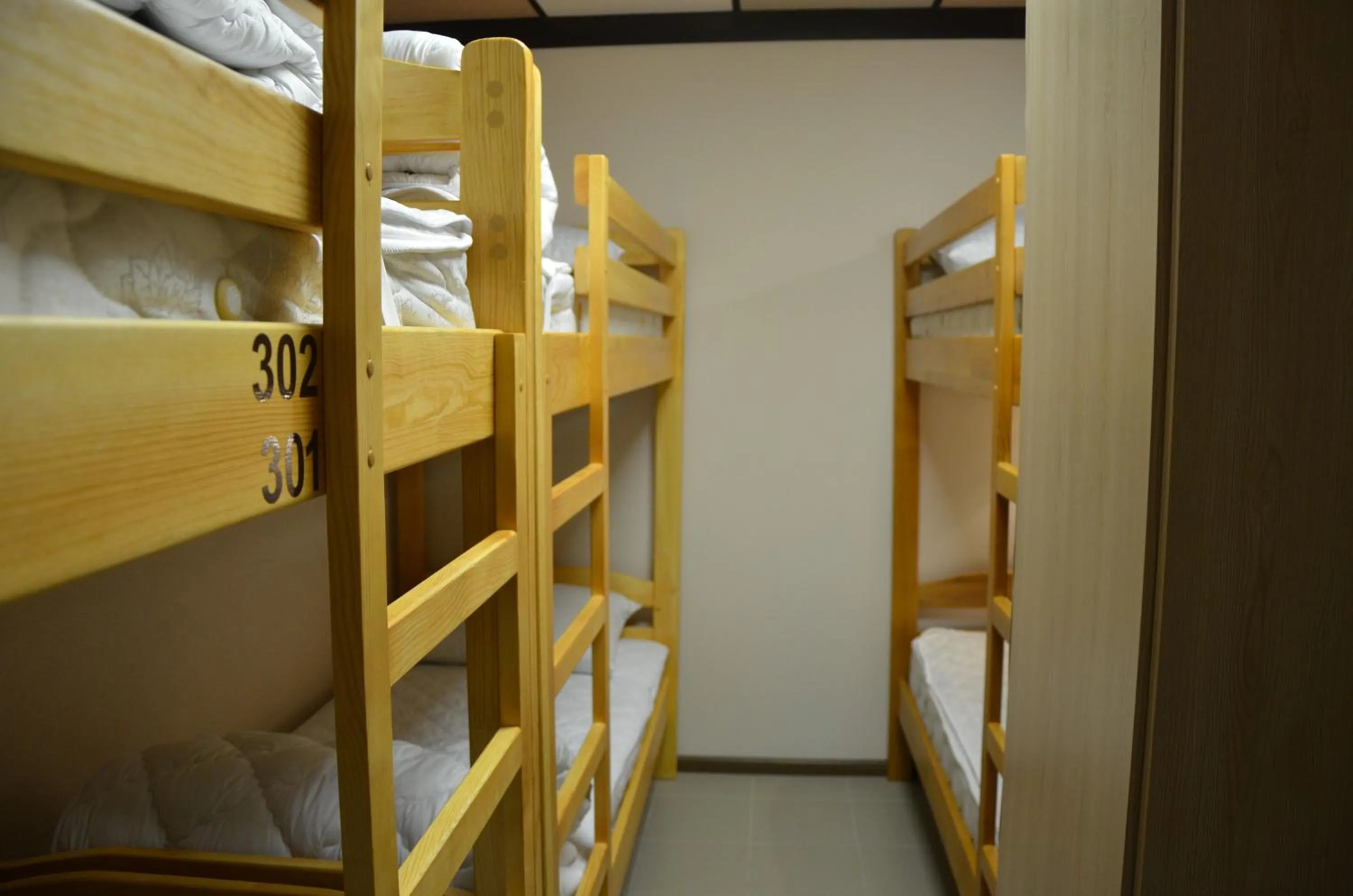 Mixed Dormitory Room - single occupancy in Hostel VShokoladi