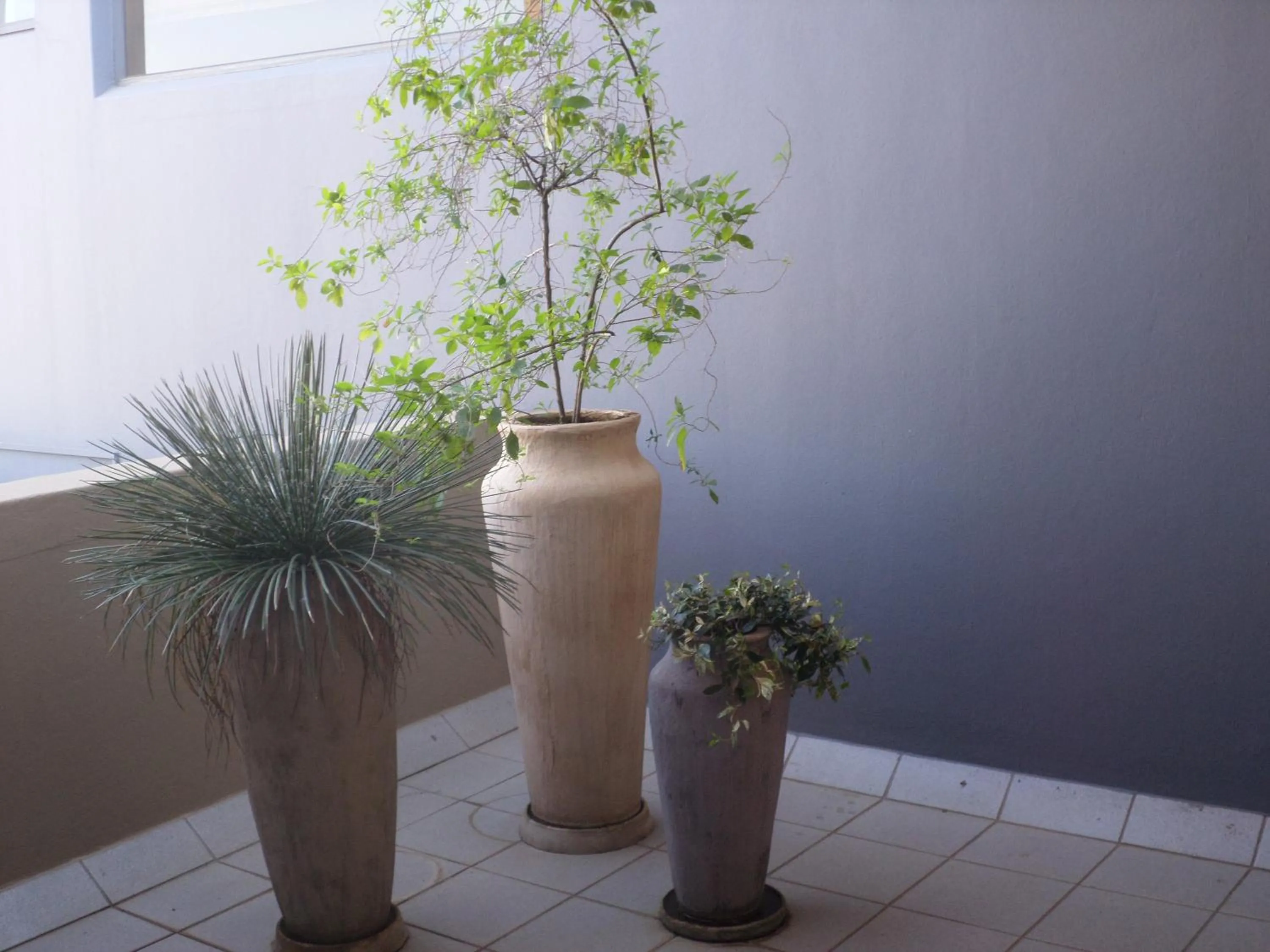 Balcony/Terrace in The Links Guest House