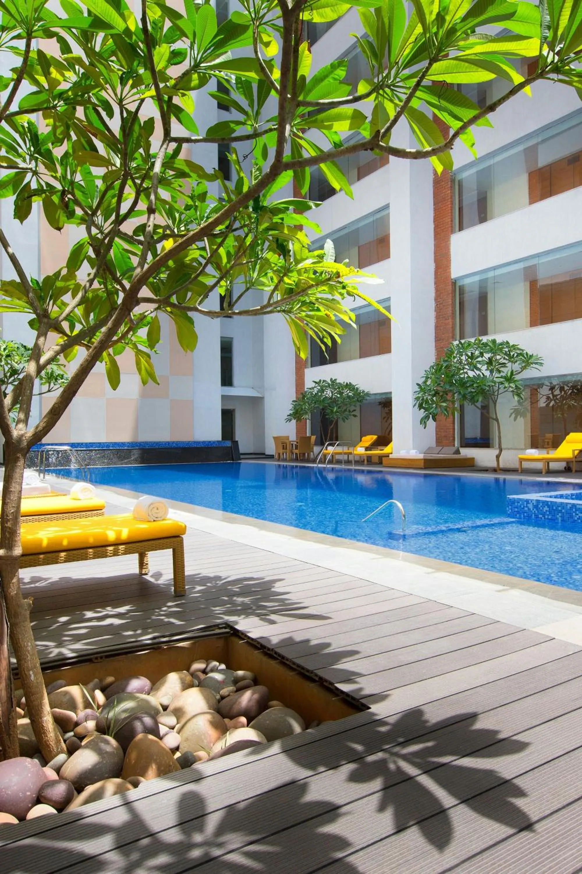 Swimming pool in Sheraton Hyderabad Hotel