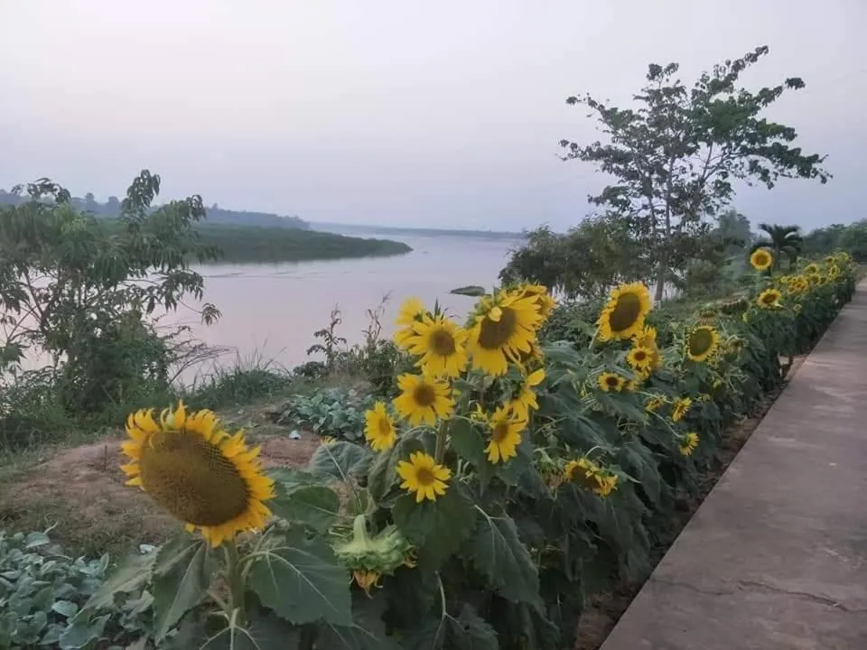 Cycling in Kongkhamkoon Hotel